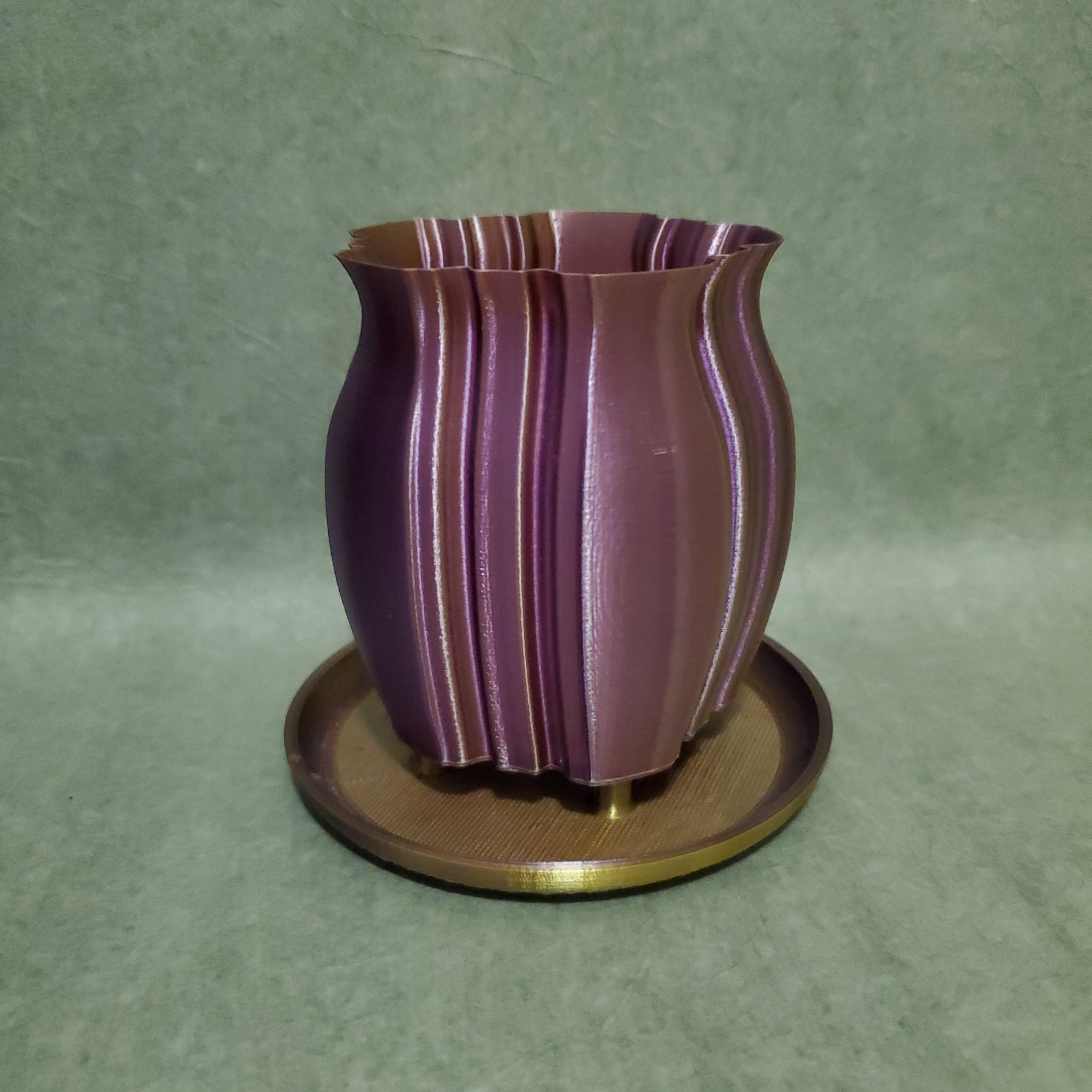 Bình hoa xương rồng lấy cảm hứng từ cánh hoa