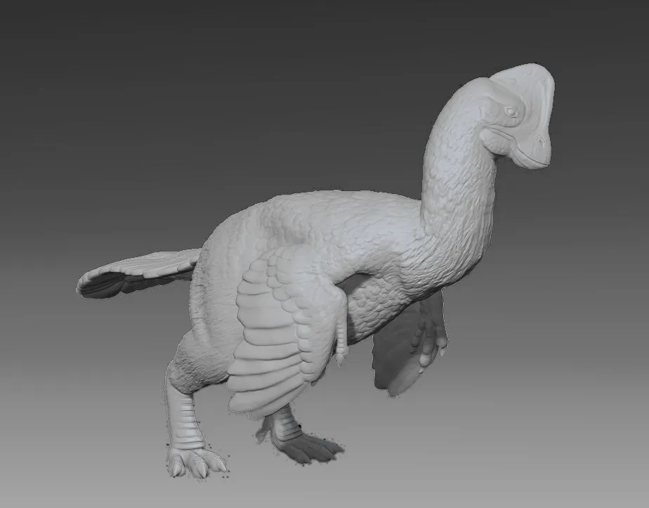 Mô hình Anzu - loài khủng long oviraptor chi tiết