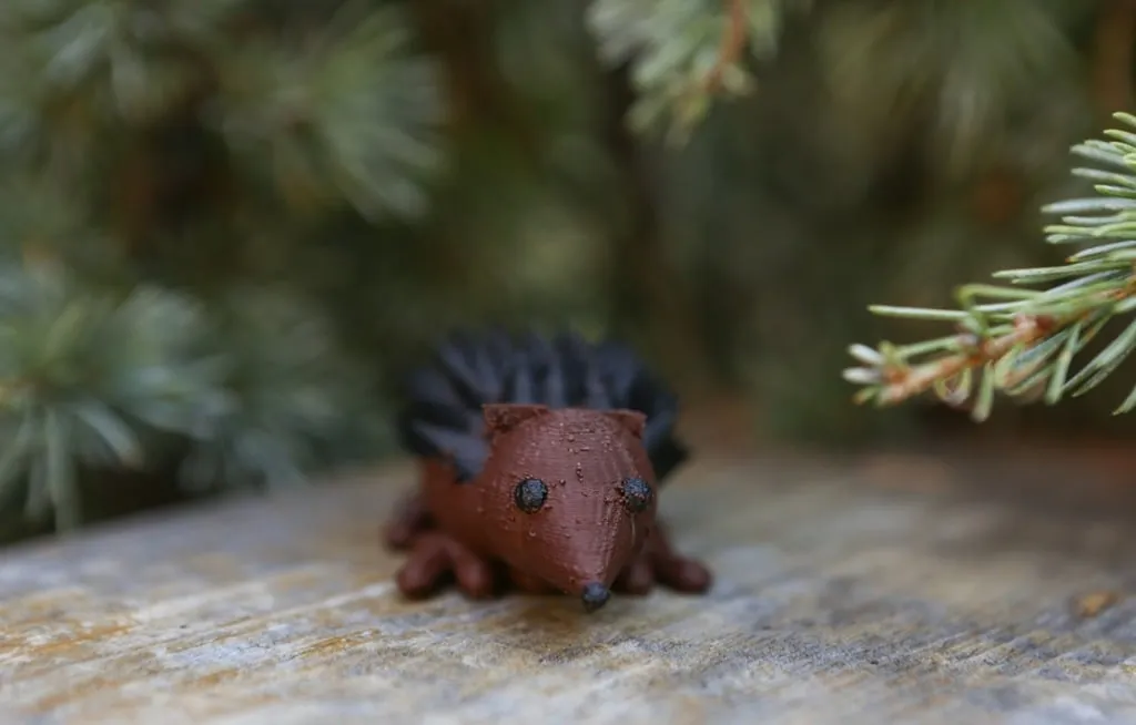 Nhím đất 3D do học sinh Cooper thiết kế