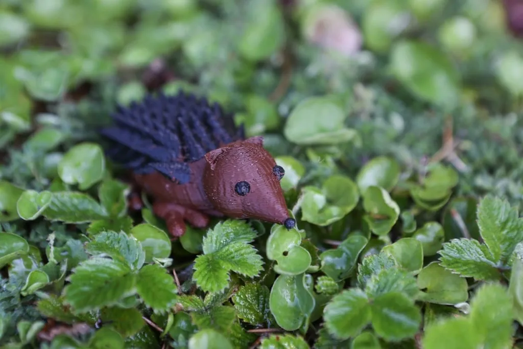 Nhím đất 3D do học sinh Cooper thiết kế