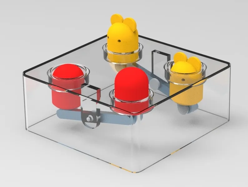 Trò chơi bắt chuột cho mèo vui nhộn và đơn giản