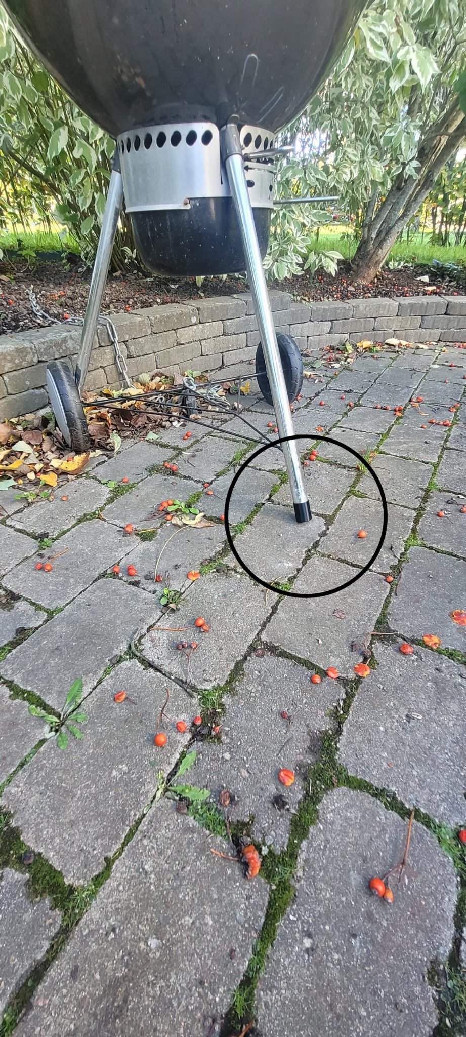 Nắp cuối cho chân trước BBQ 1