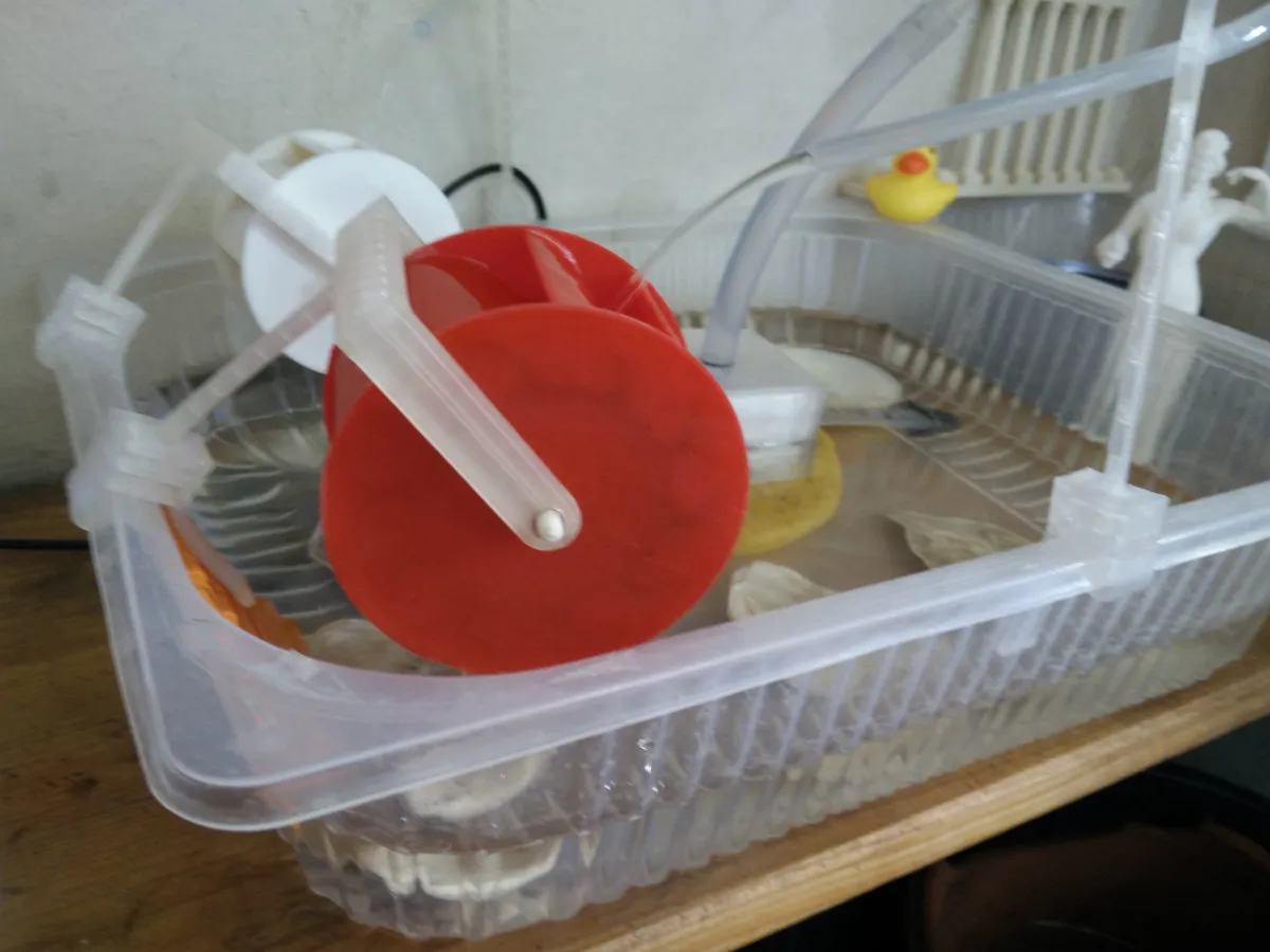 Giá đỡ kẹp cho chậu nhựa dùng trong bể phun nước