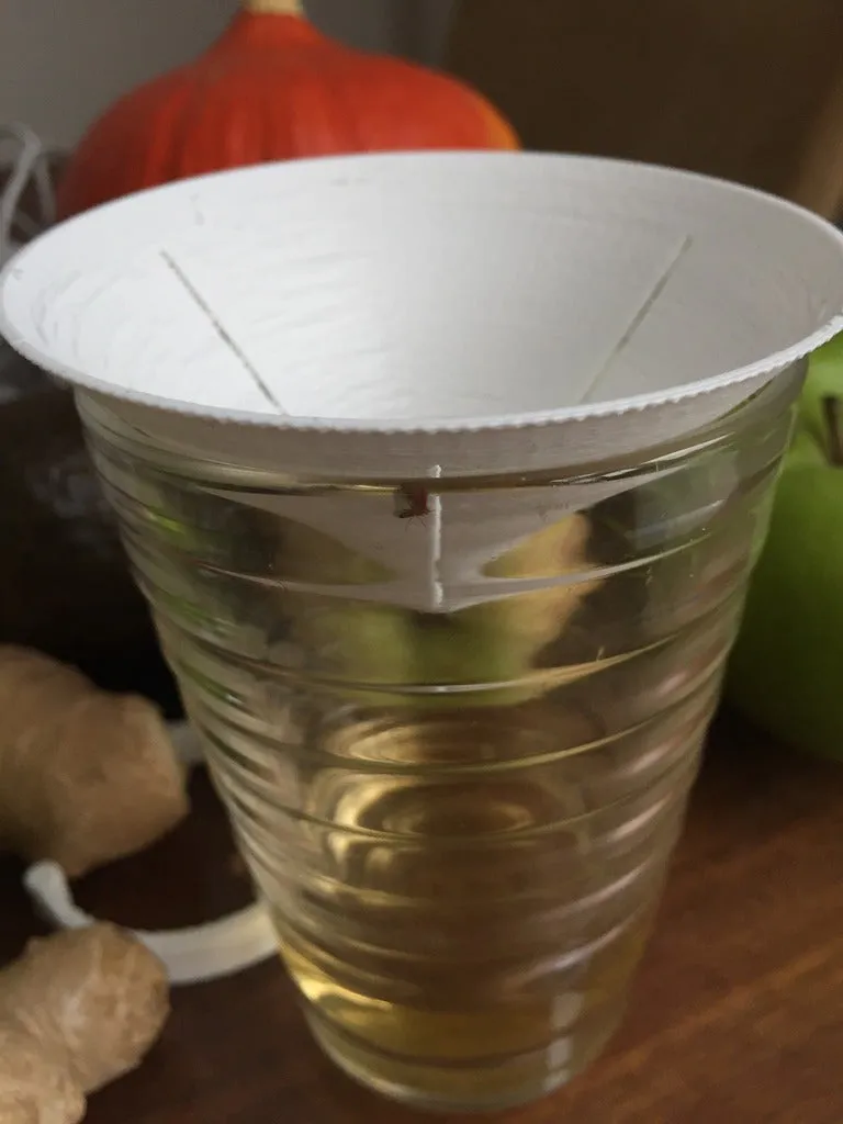 Bẫy ruồi trái cây cho ly nước chanh