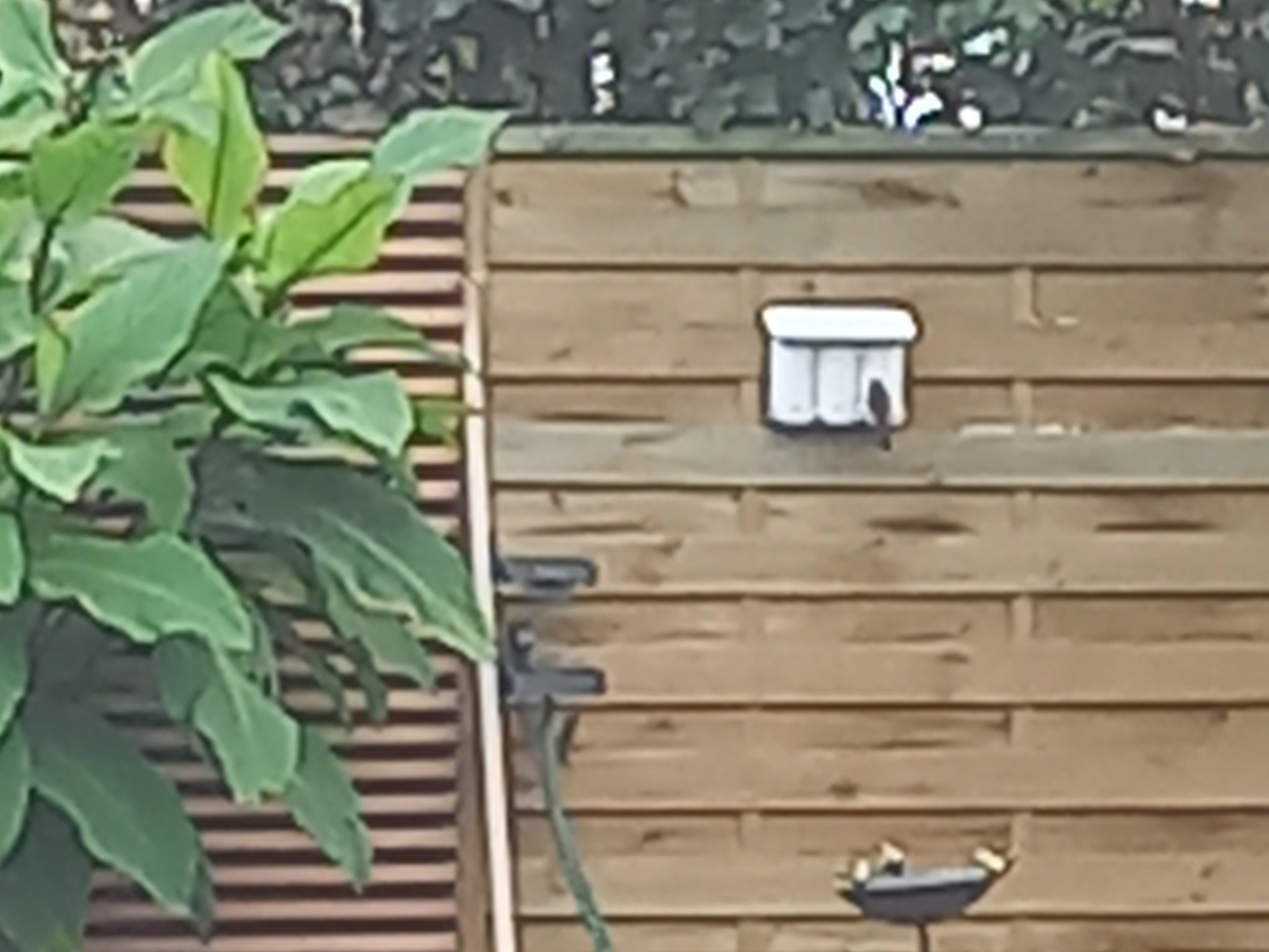 Trạm cho chim ăn gắn tường hoặc hàng rào riêng tư