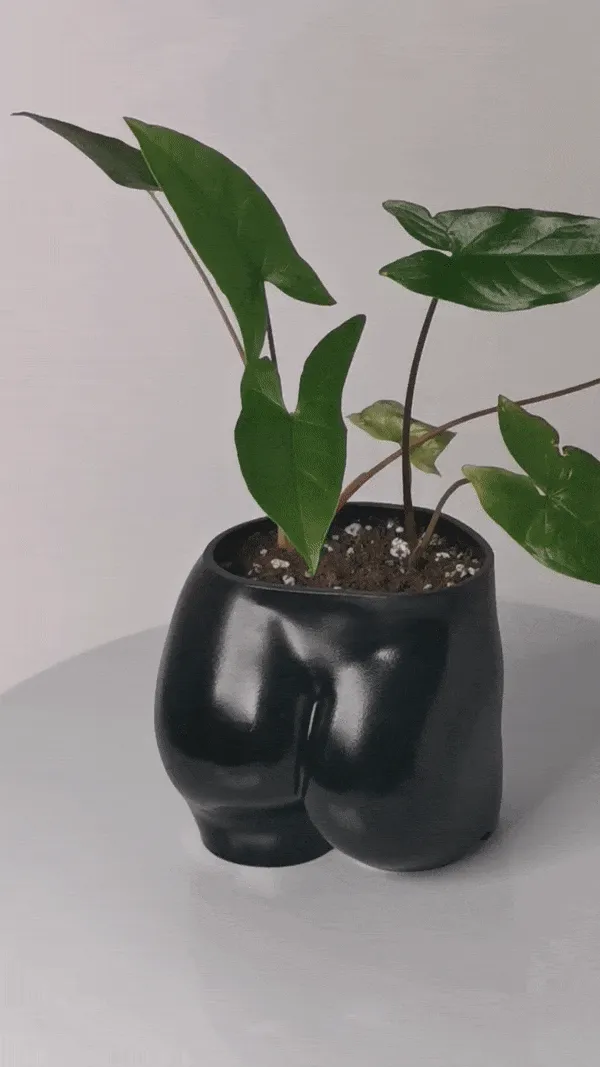 Chậu cây hình mông nữ dễ thương