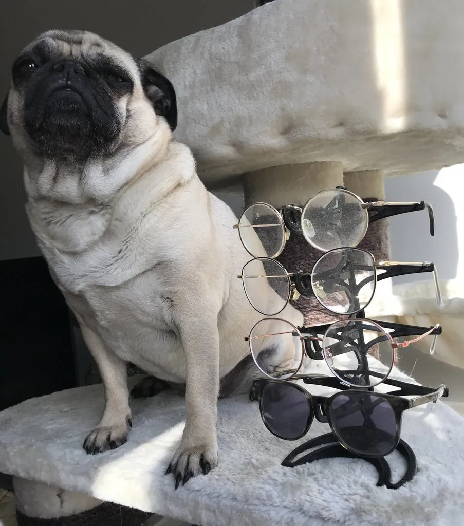 Giá đỡ kính mô-đun không cần hỗ trợ