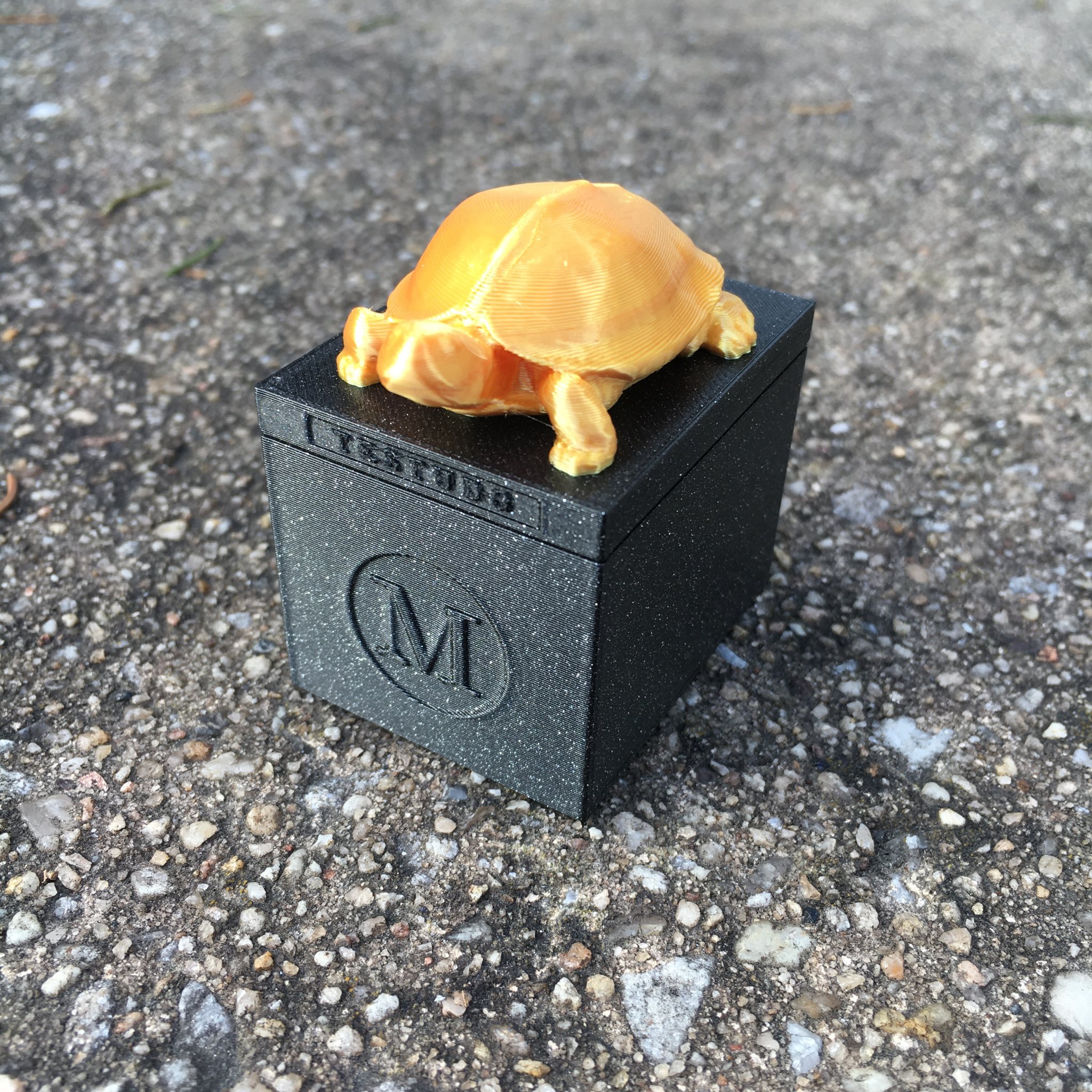 Bộ sưu tập tượng Testudo của Đại học Maryland