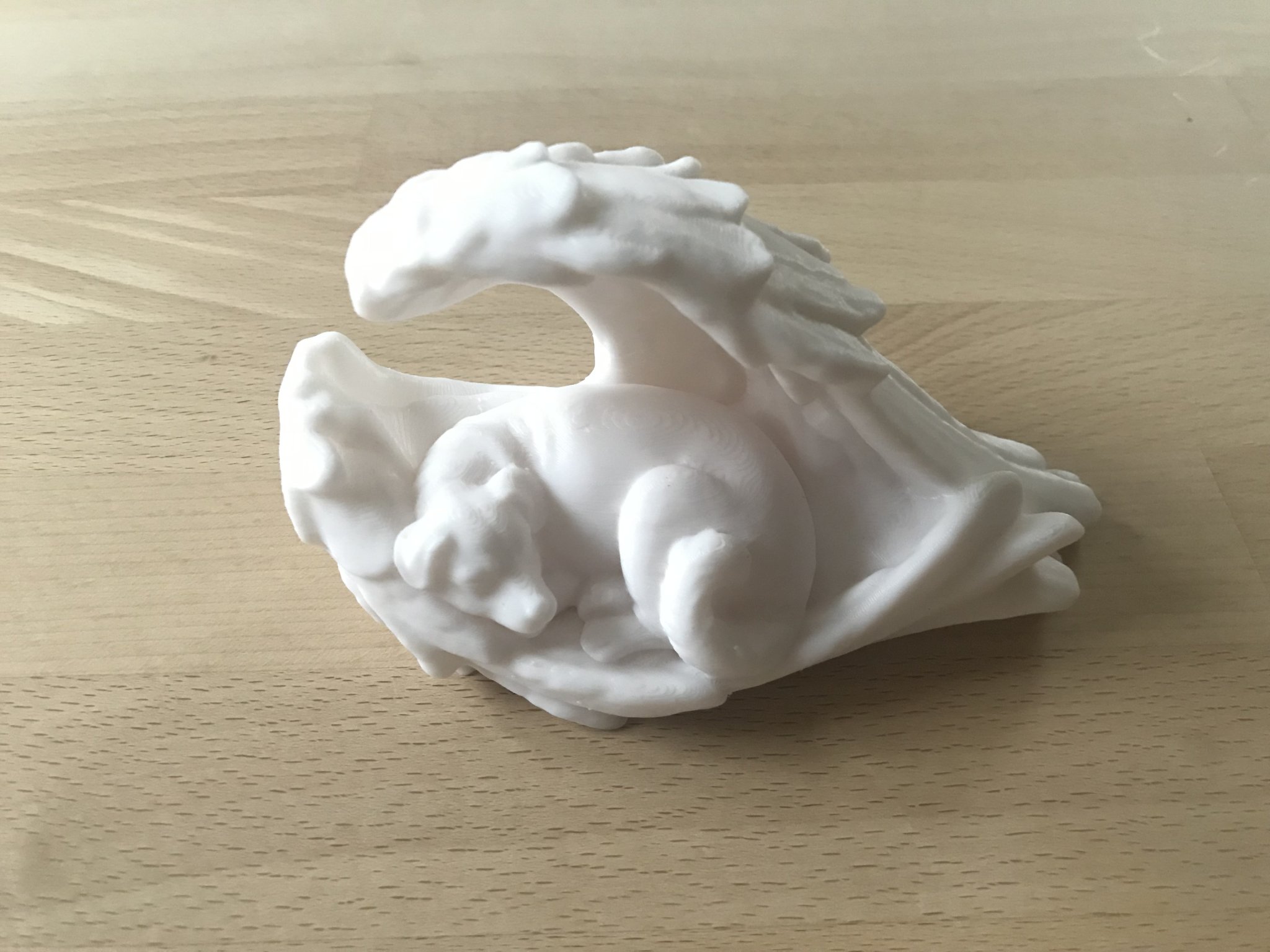 Chó ngủ với đôi cánh thiên thần