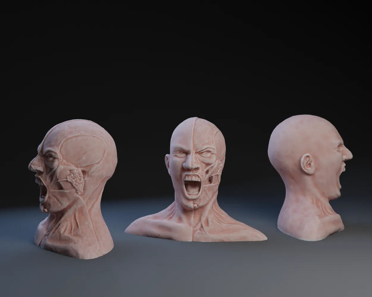 Giải phẫu của cơn thịnh nộ