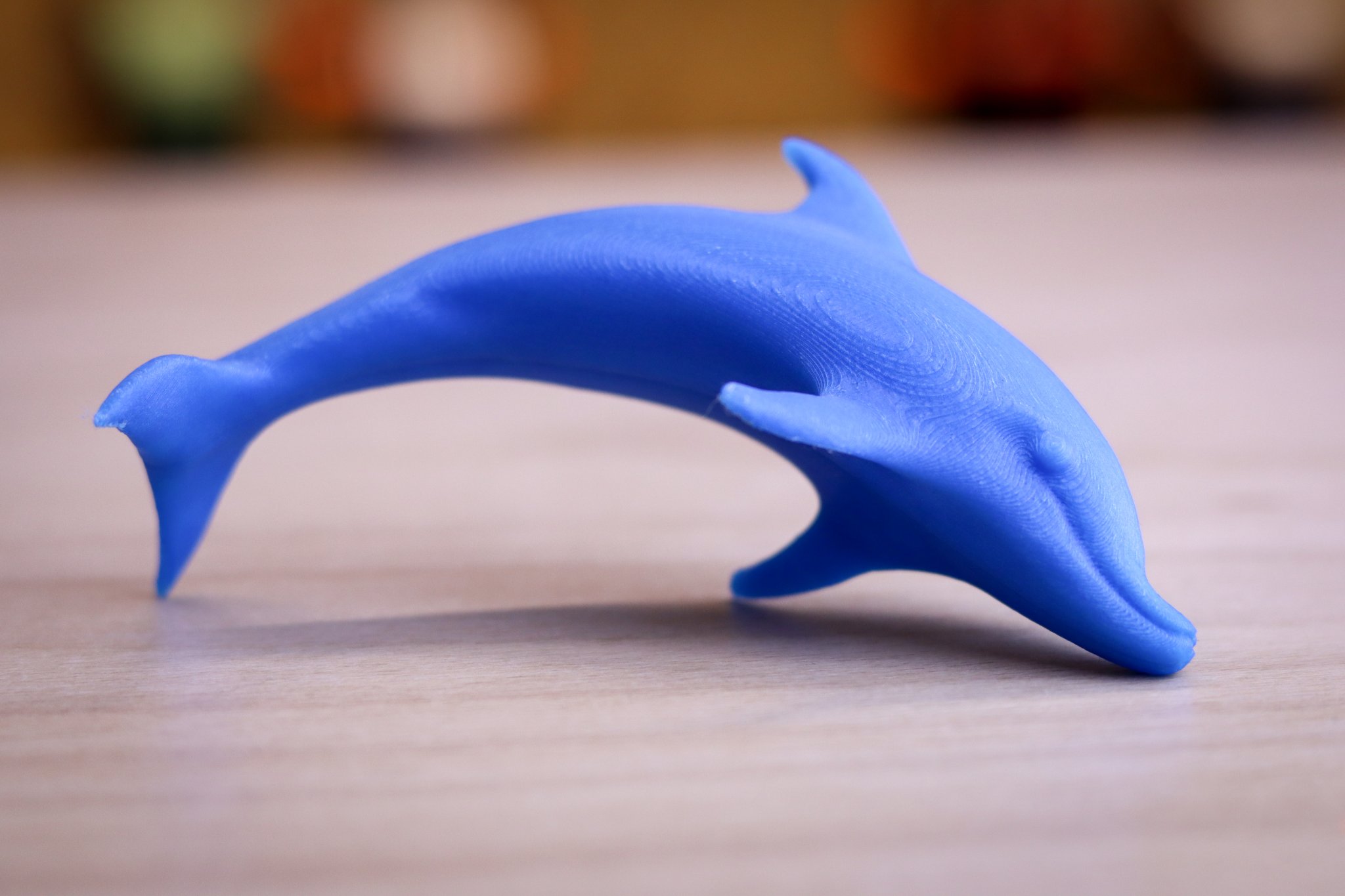 Mô hình cá heo cho người khiếm thị từ bộ sưu tập Kamil