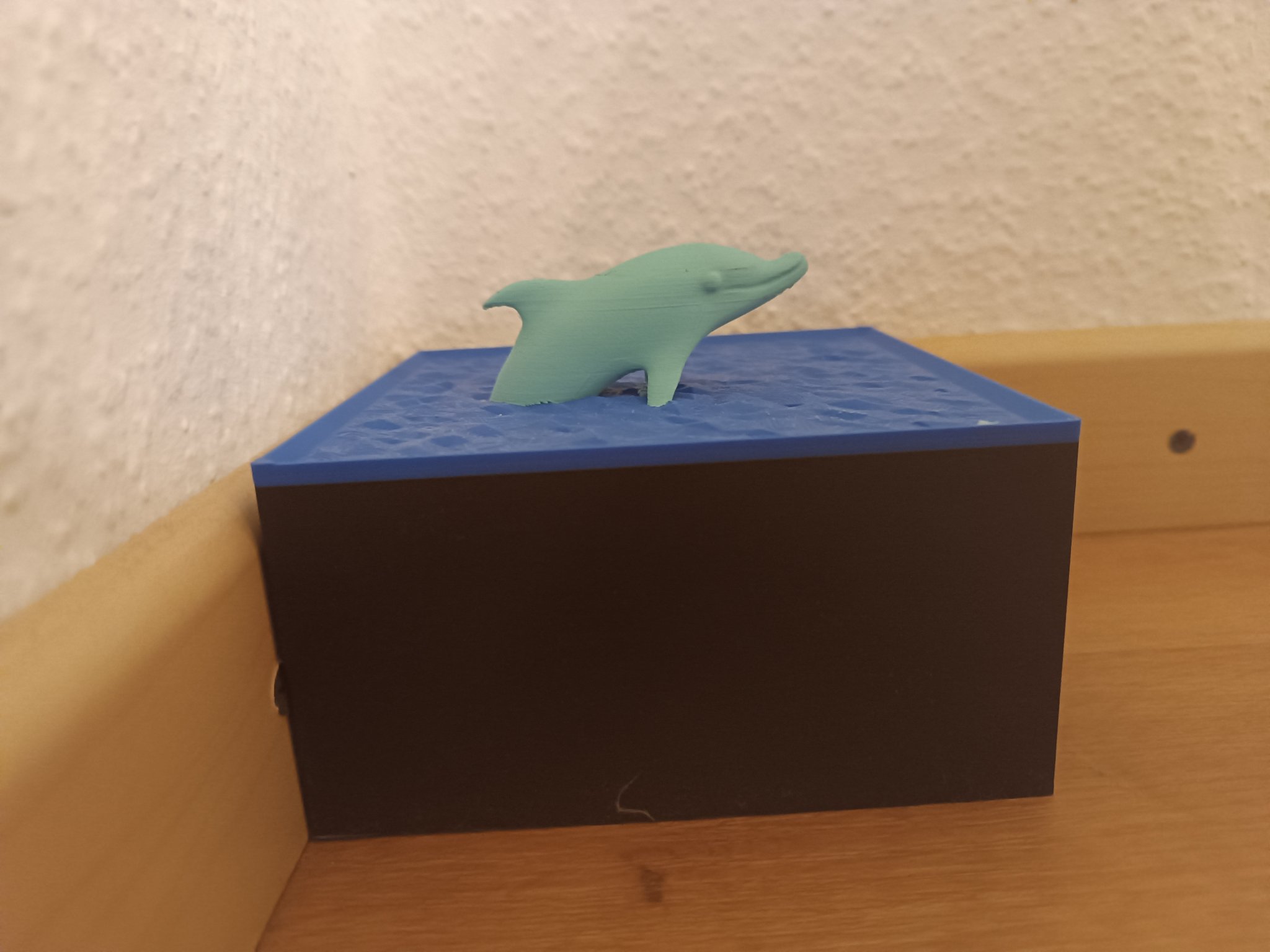 Cá heo nhảy ra khỏi mặt nước trong trang trí nhà cửa