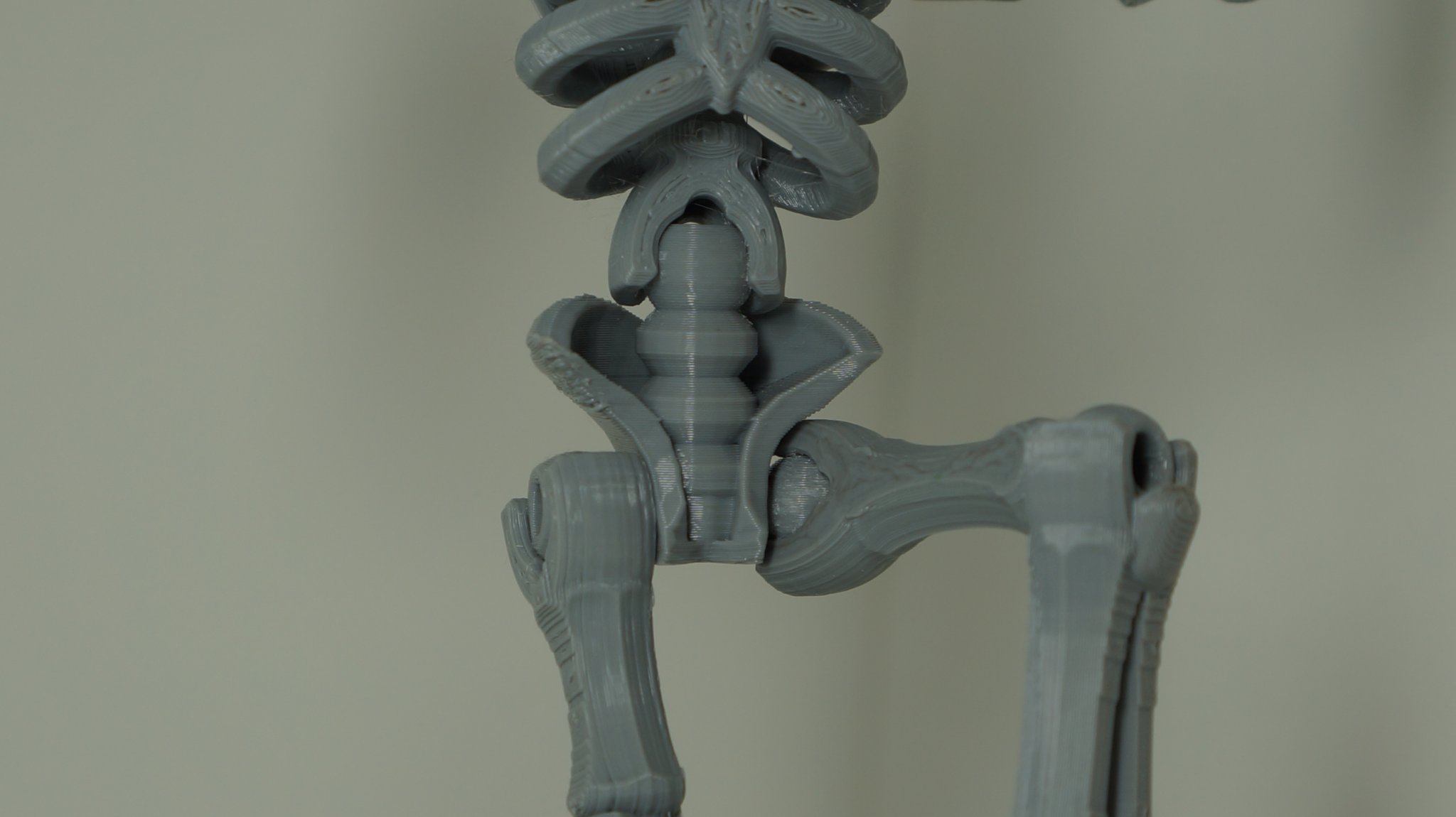 Bộ xương đồ chơi lắp ghép từ Tinkercad