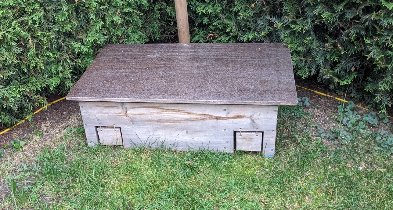 Nhà cho nhím xây dựng từ mẫu in 3D