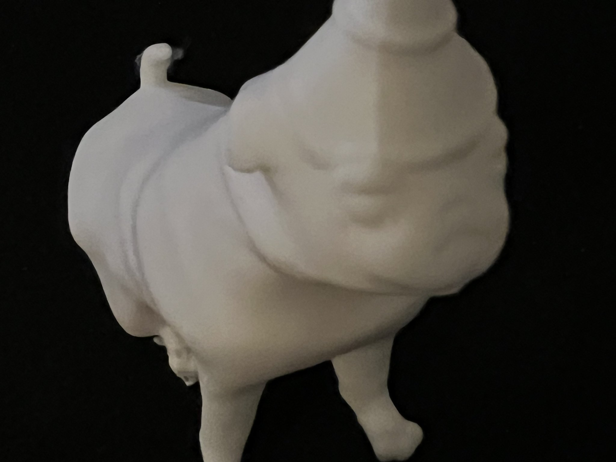 Chú pug phù thủy dễ thương với viên ngọc huyền bí