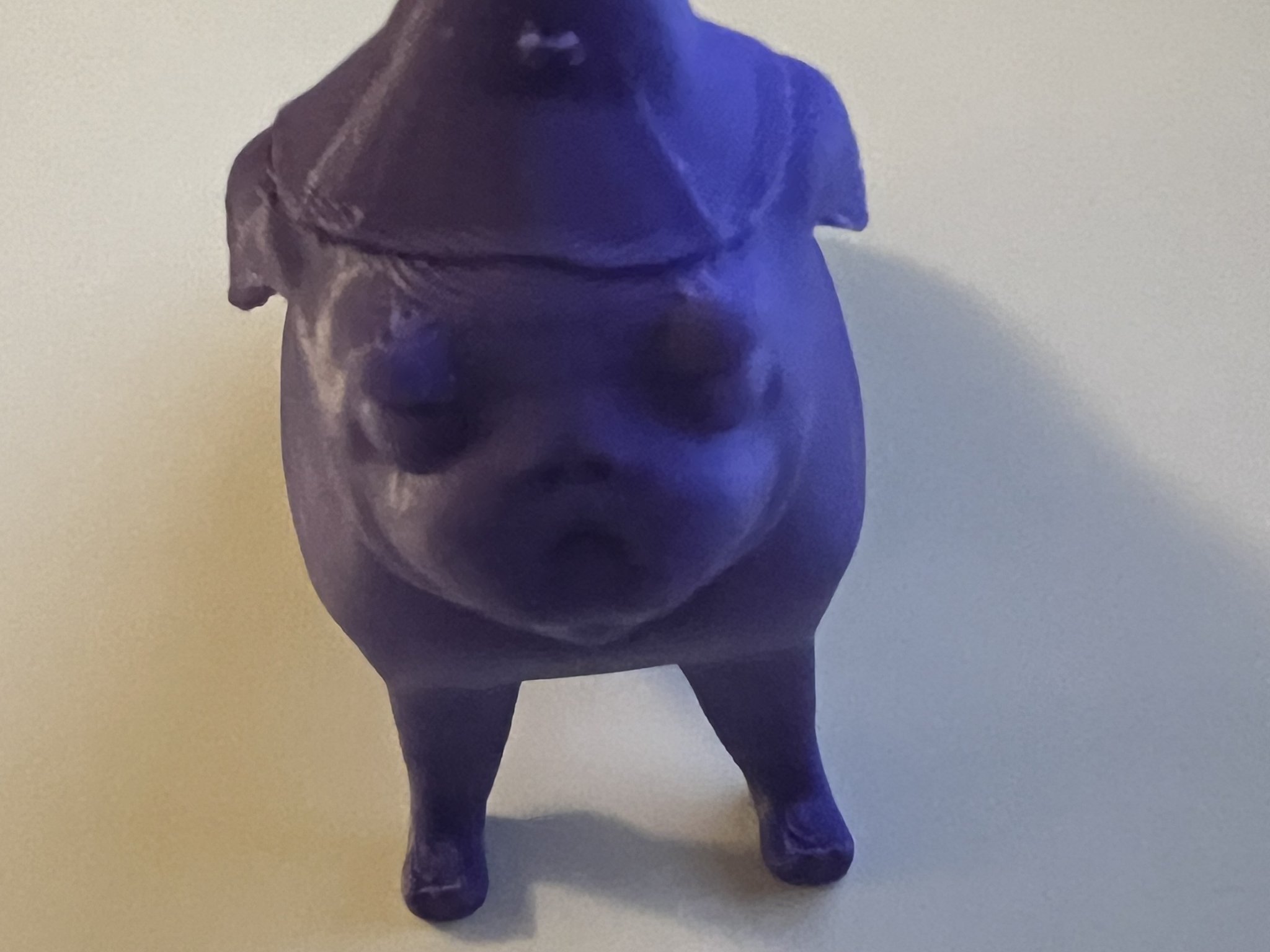 Chú pug phù thủy dễ thương với viên ngọc huyền bí