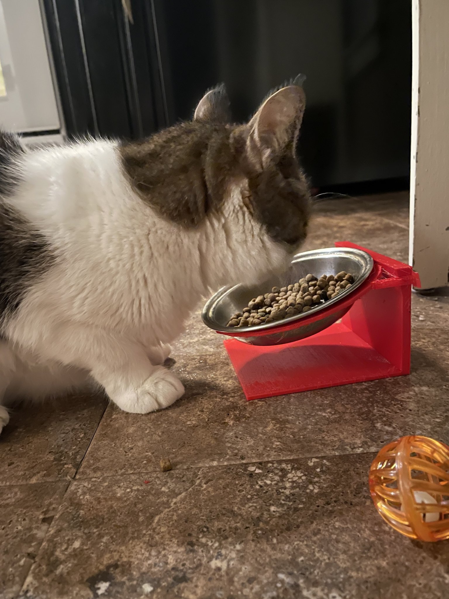 Giá đỡ bát ăn cho thú cưng có độ cao và góc nghiêng