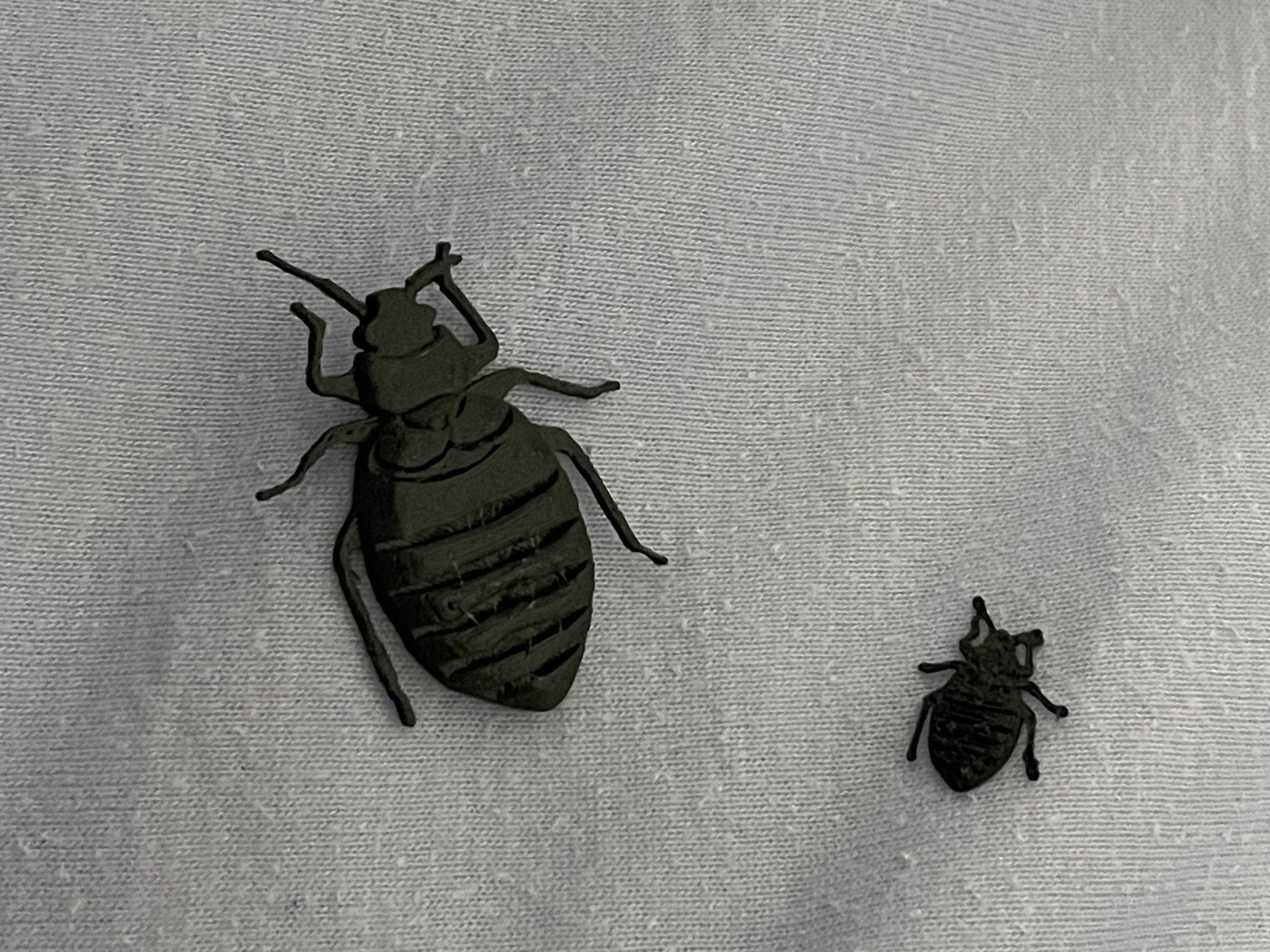 Bọ xít giường - Biểu tượng mới của thành phố Paris