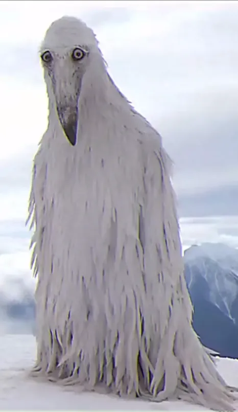 Chim xói mòn phần 2 từ xu hướng tiktok