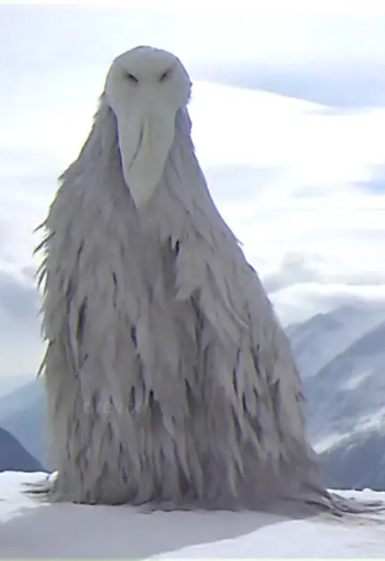 Chim xói mòn phần 2 từ xu hướng tiktok