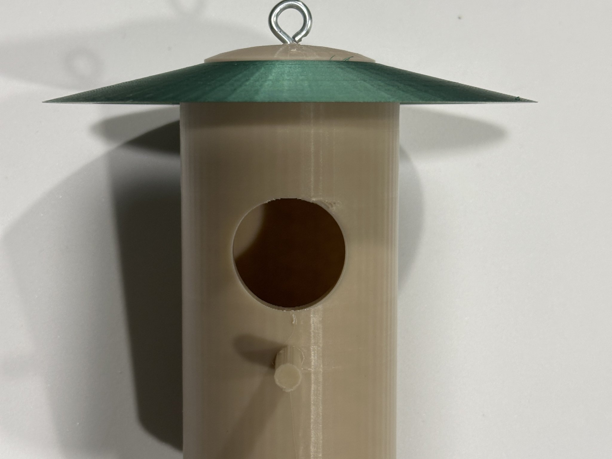 Nhà cho chim ruồi trú đông tại Tây Bắc Thái Bình Dương