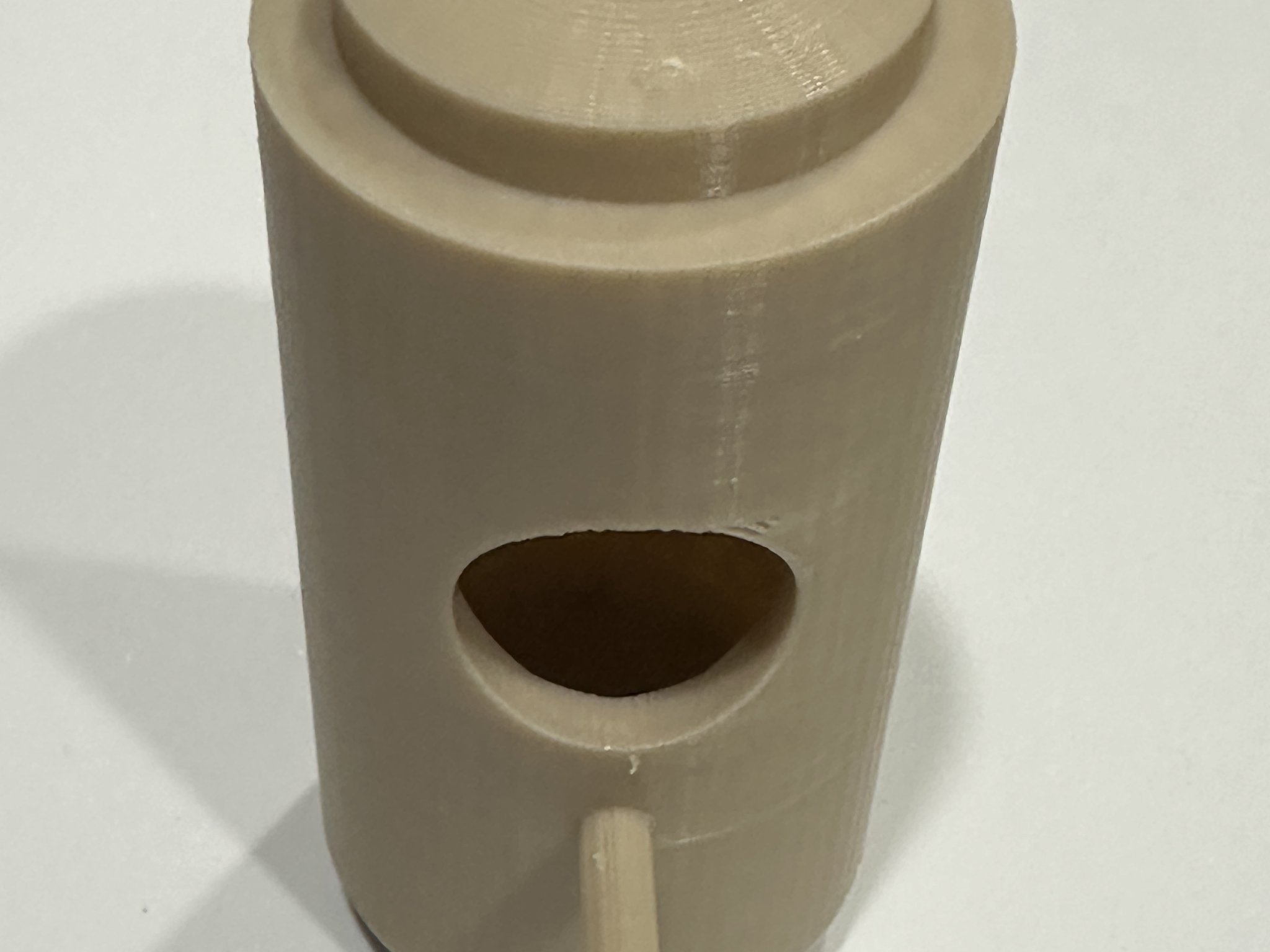 Nhà cho chim ruồi trú đông tại Tây Bắc Thái Bình Dương