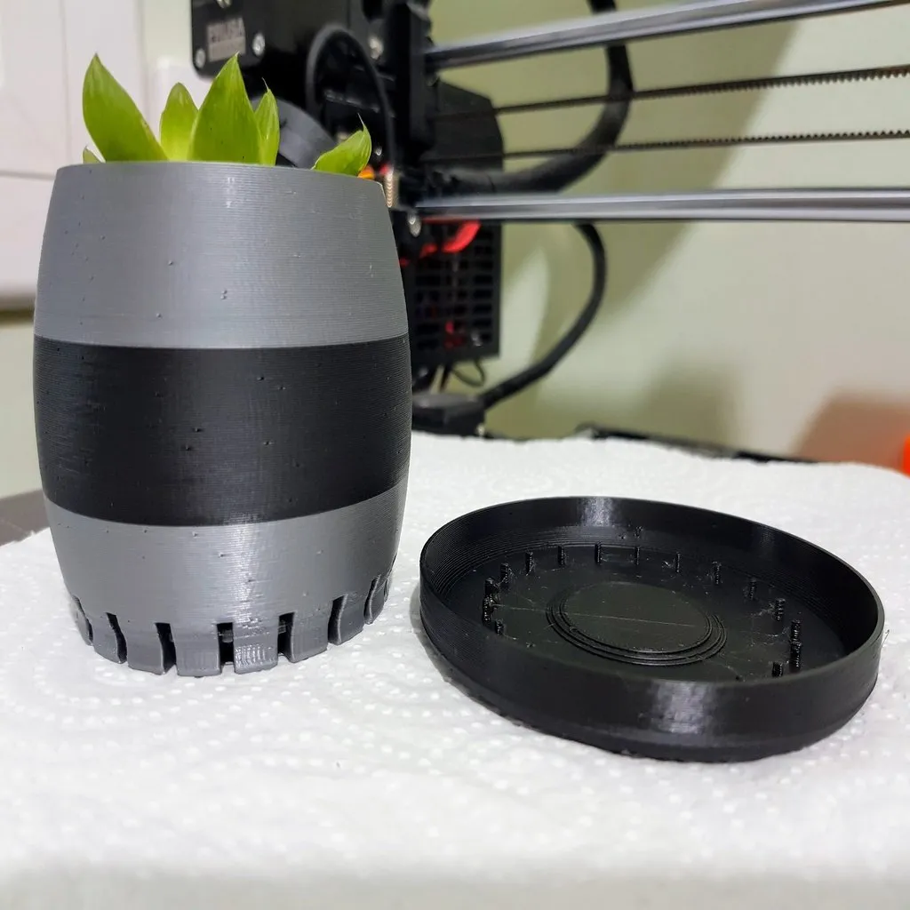 Chậu cây xương rồng nhỏ với thiết kế thông minh