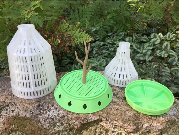 Hộp đựng côn trùng Bug Zoo Jar cho trẻ em