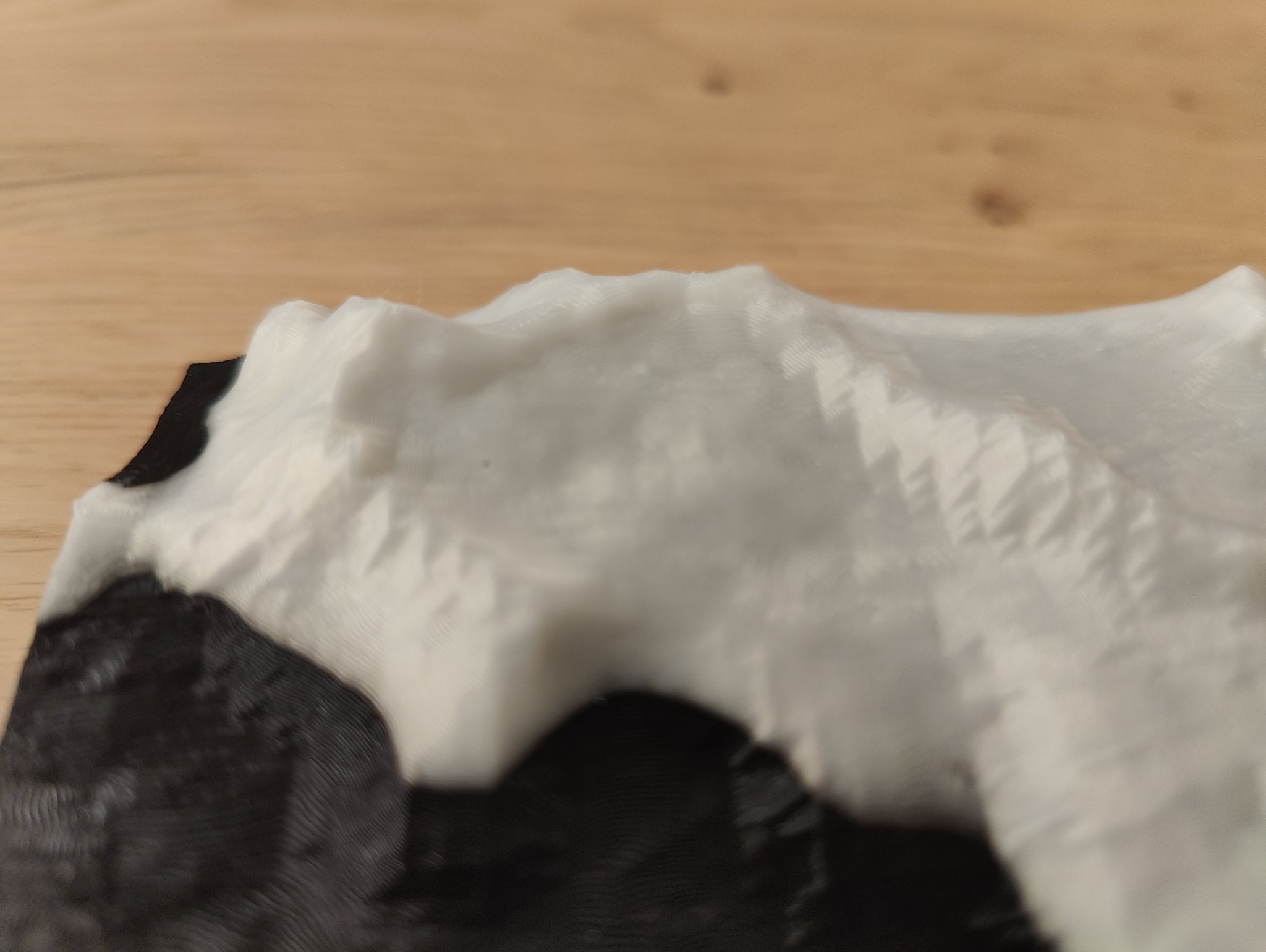 Piz Buin và vùng Silvretta xung quanh với núi Schneeglocke