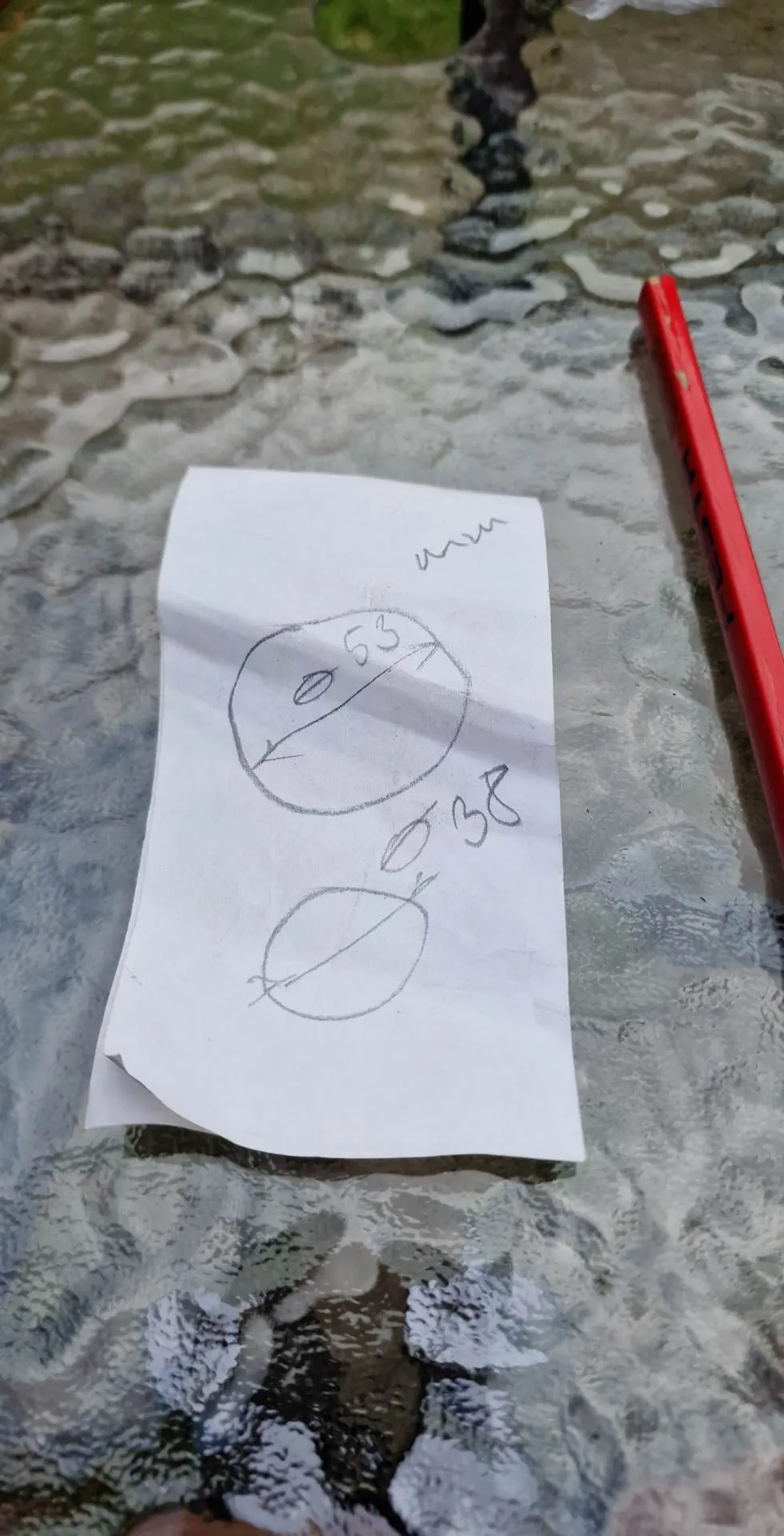 Nắp đậy cho bàn ngoài trời dùng ô che nắng