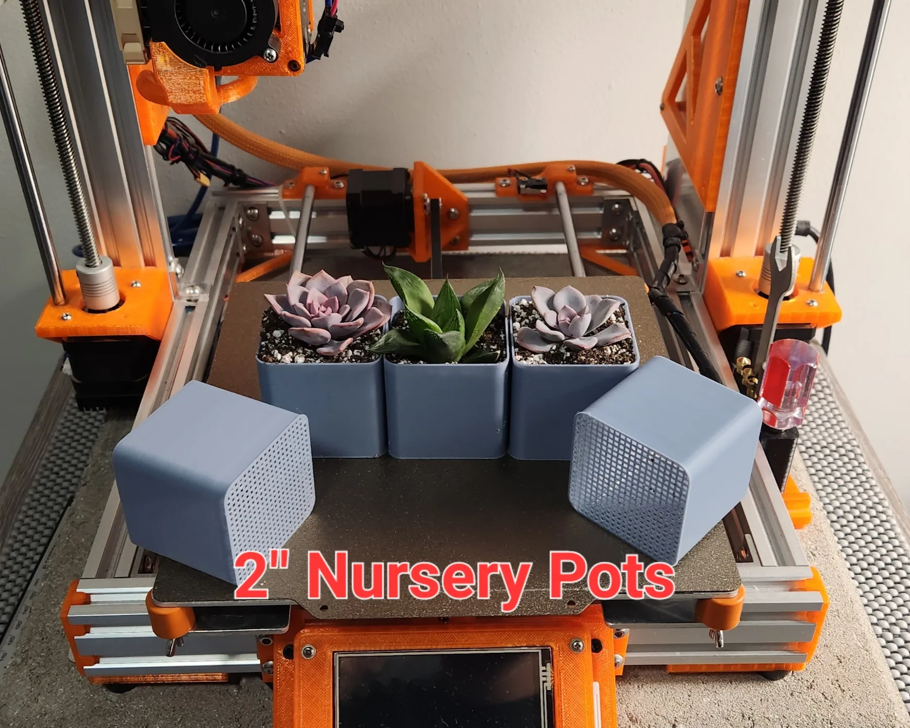 Chậu ươm đá quý đáy lưới 2 inch