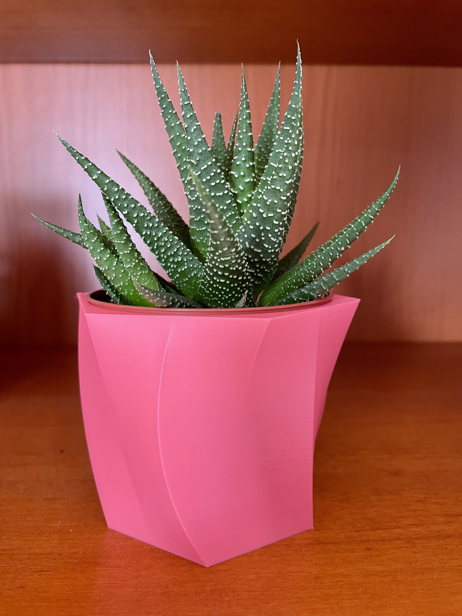 Bình hoa cong cho cây xương rồng Gasteria của Ikea