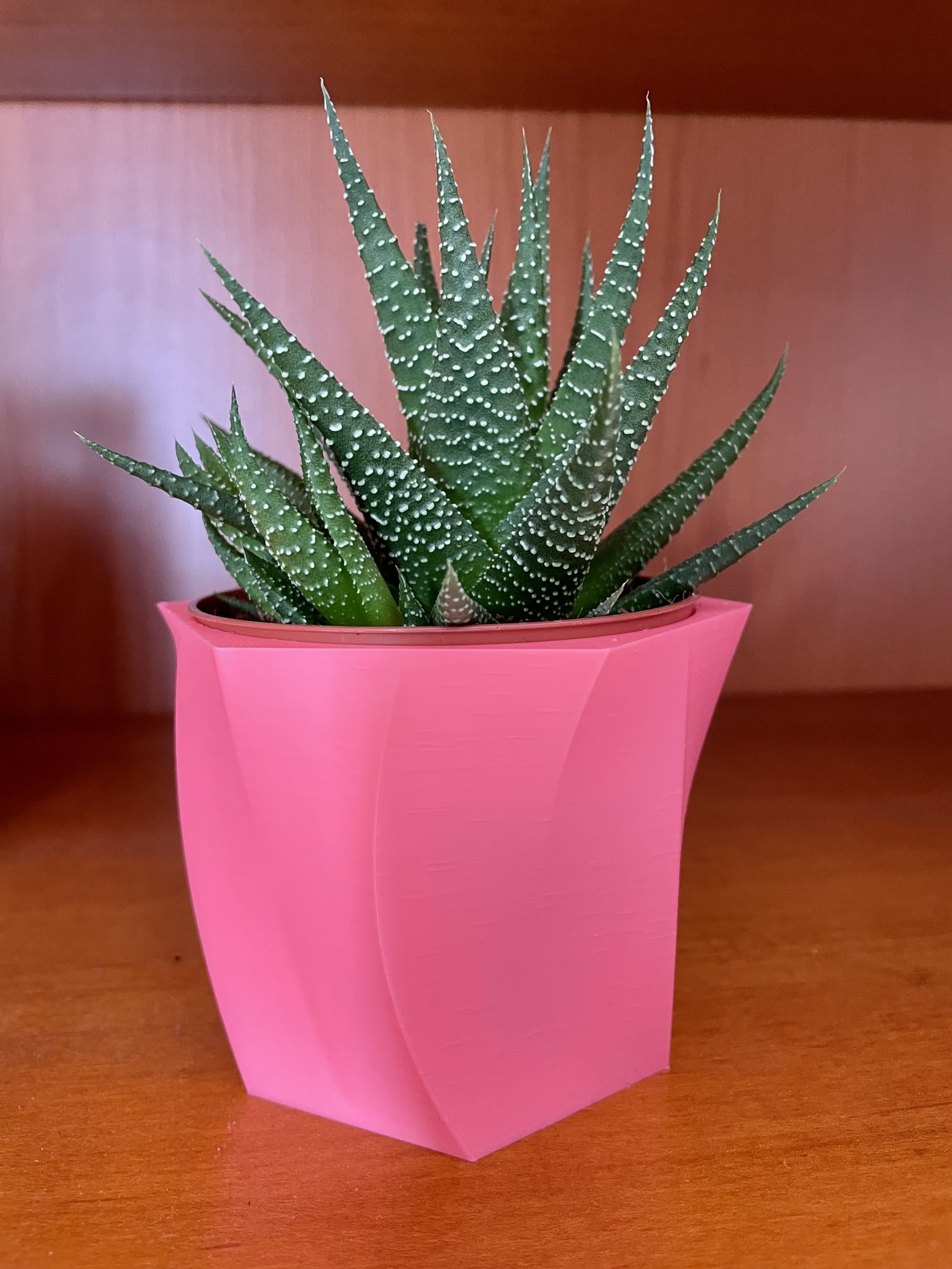 Bình hoa cong cho cây xương rồng Gasteria của Ikea