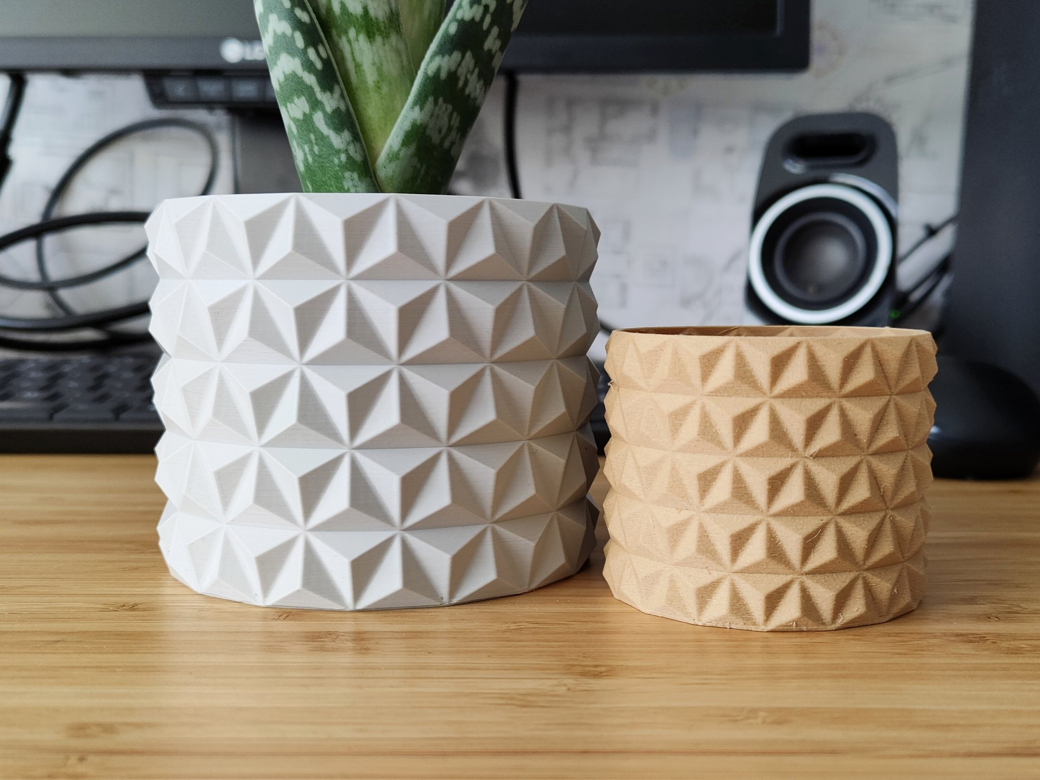 Chậu cây xương rồng thiết kế hiện đại cho cây trồng