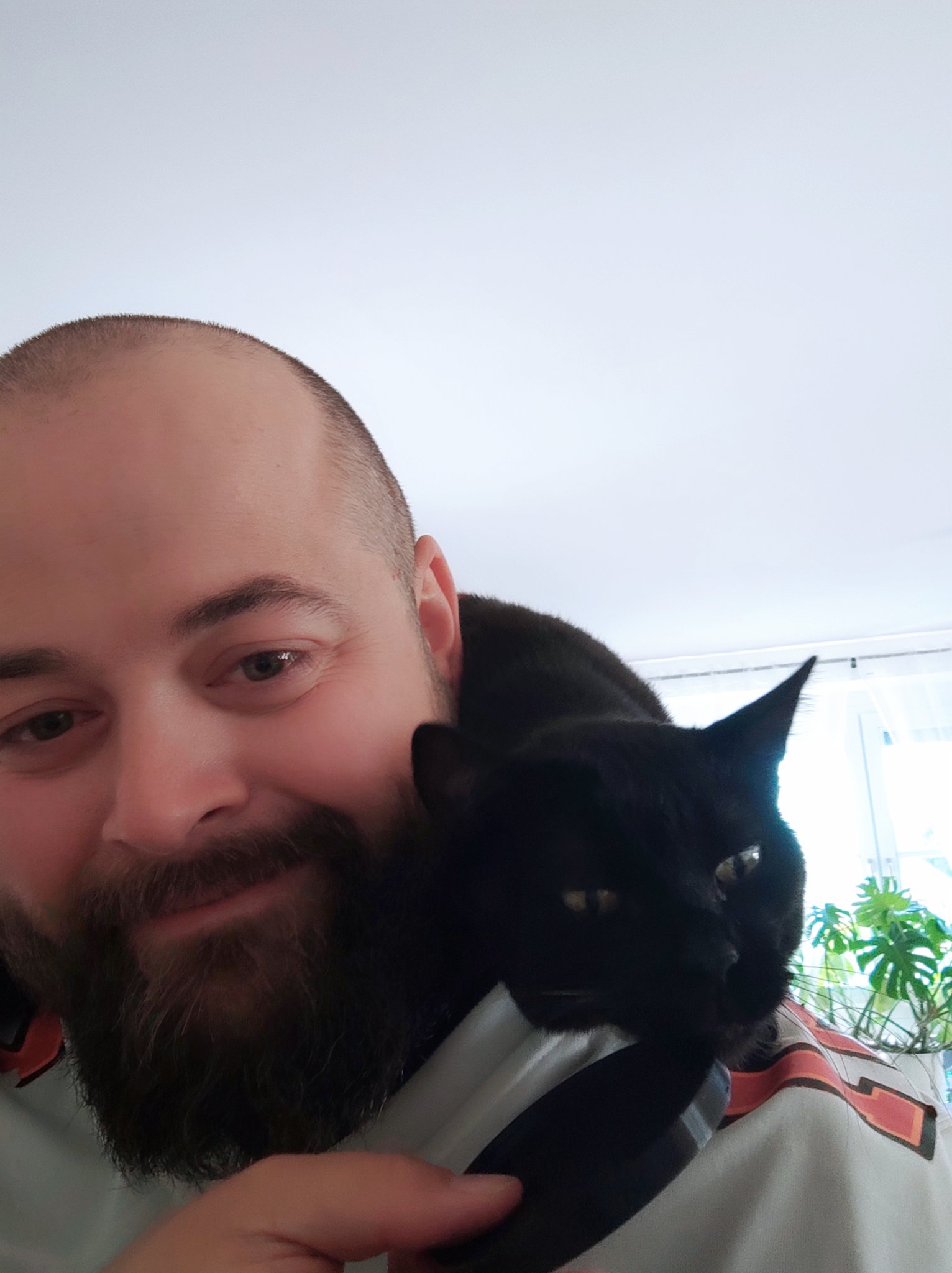 Nắp và Giá đỡ Nắp cho Hộp Thức Ăn Mèo Đường Kính 75mm