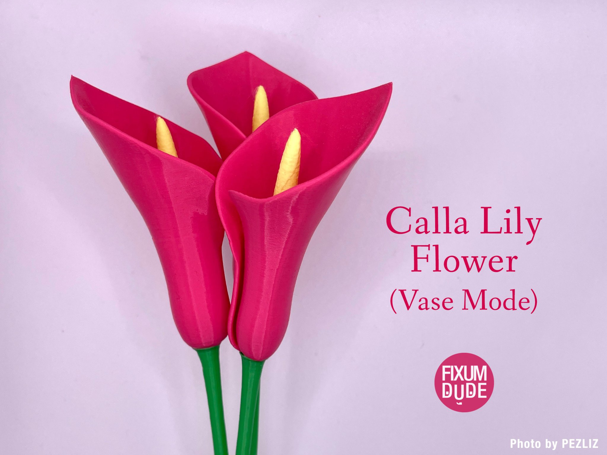 Hoa Calla Lily chế tác từ chế độ bình đơn giản