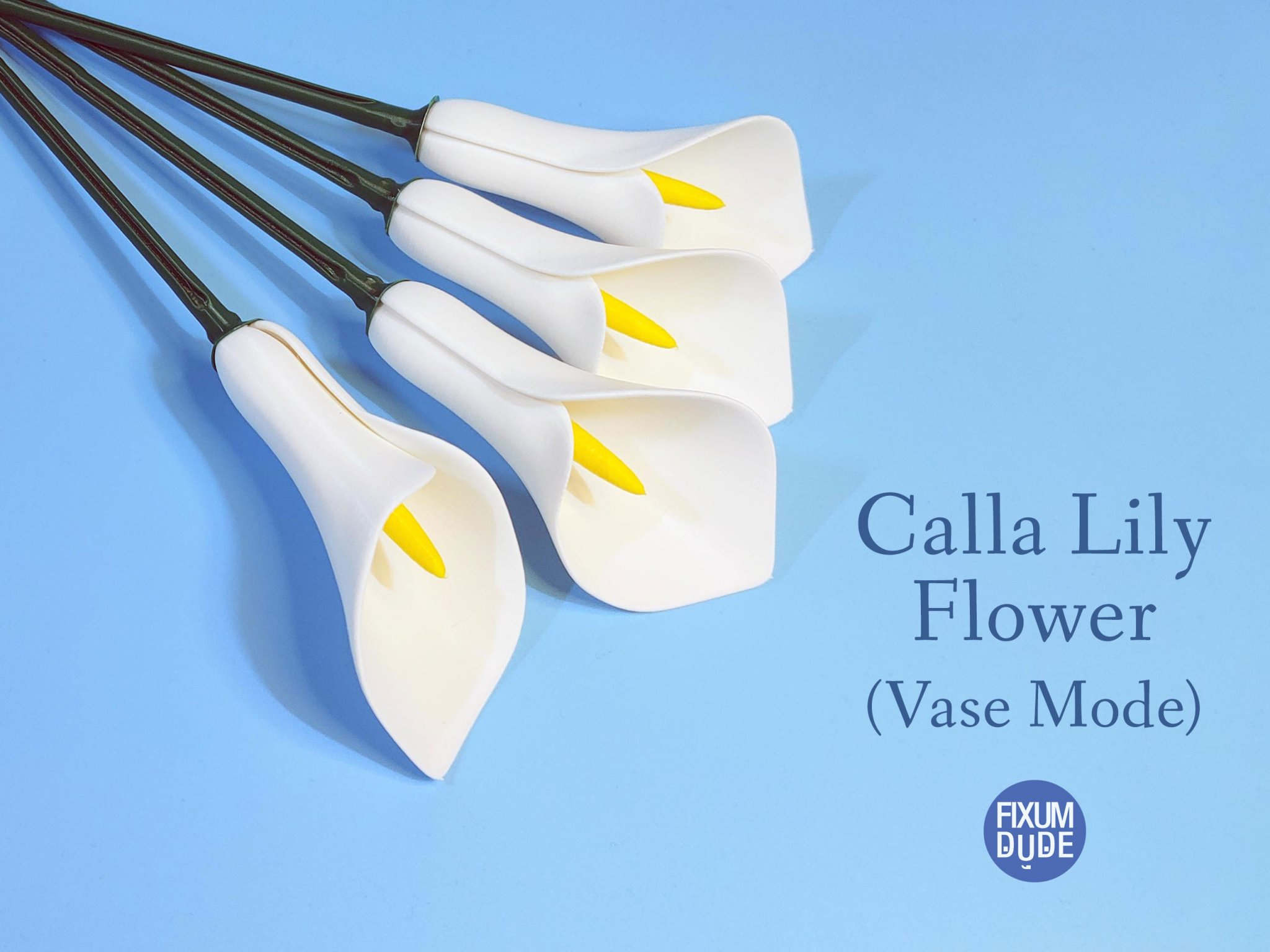 Hoa Calla Lily chế tác từ chế độ bình đơn giản