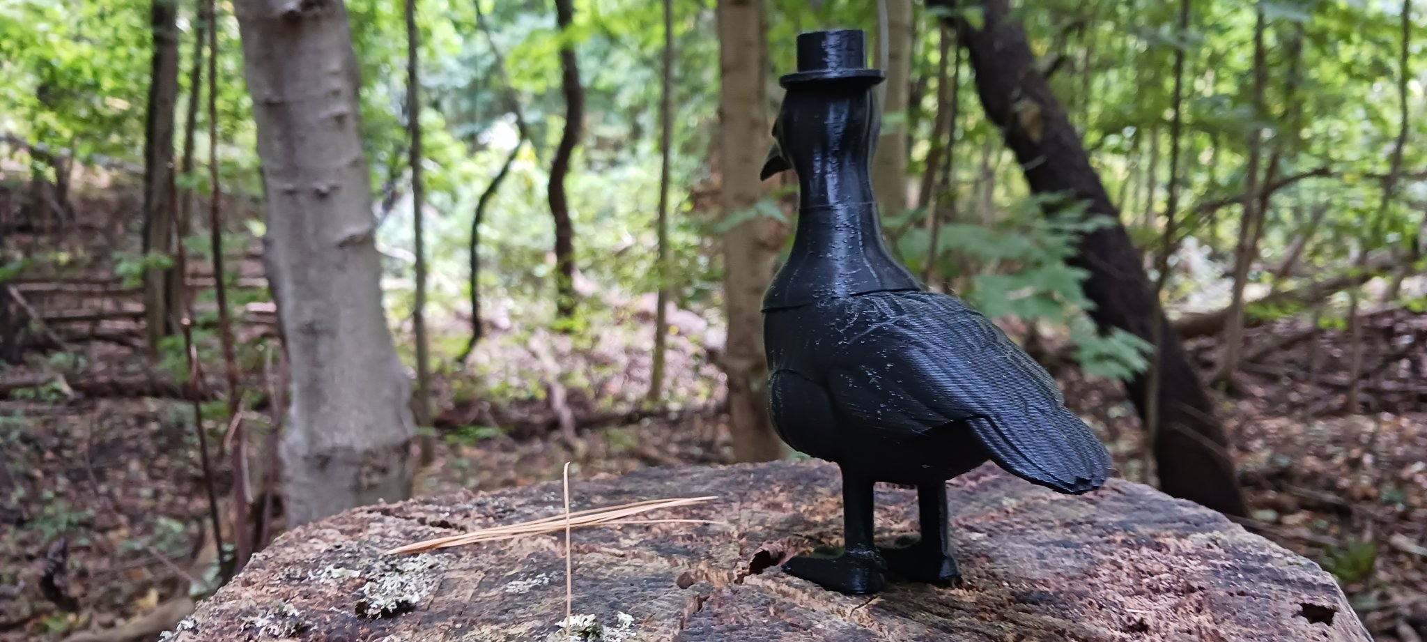 Ngỗng bác sĩ dịch tễ Canada trong trang phục đáng sợ