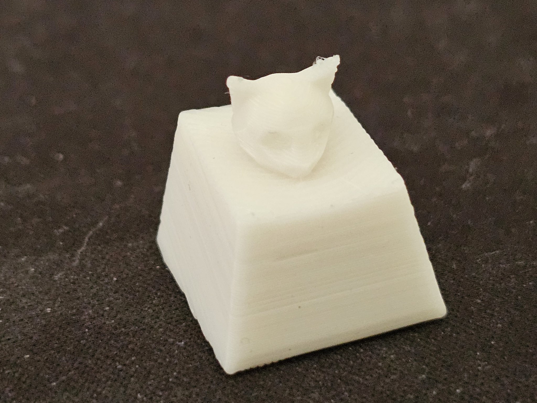 Núm phím hình mèo cho phím Escape của bạn