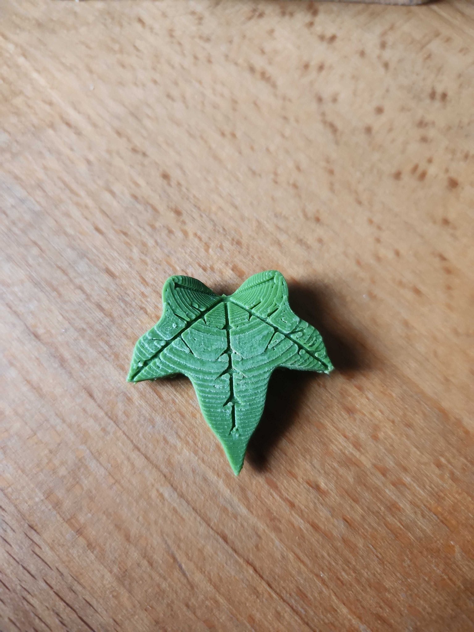 Cài áo lá thường xuân trang trí cho câu lạc bộ trẻ em