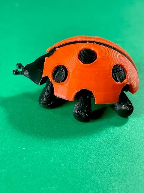 Bọ rùa với cánh có thể gắn và chân di chuyển