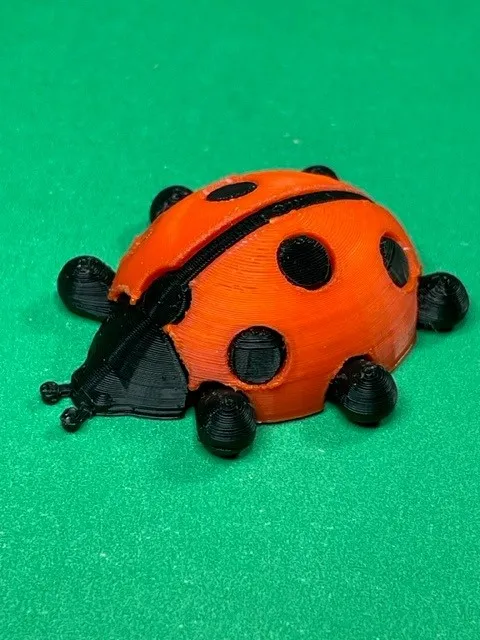 Bọ rùa với cánh có thể gắn và chân di chuyển