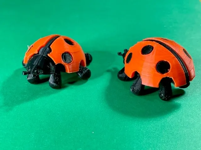 Bọ rùa với cánh có thể gắn và chân di chuyển