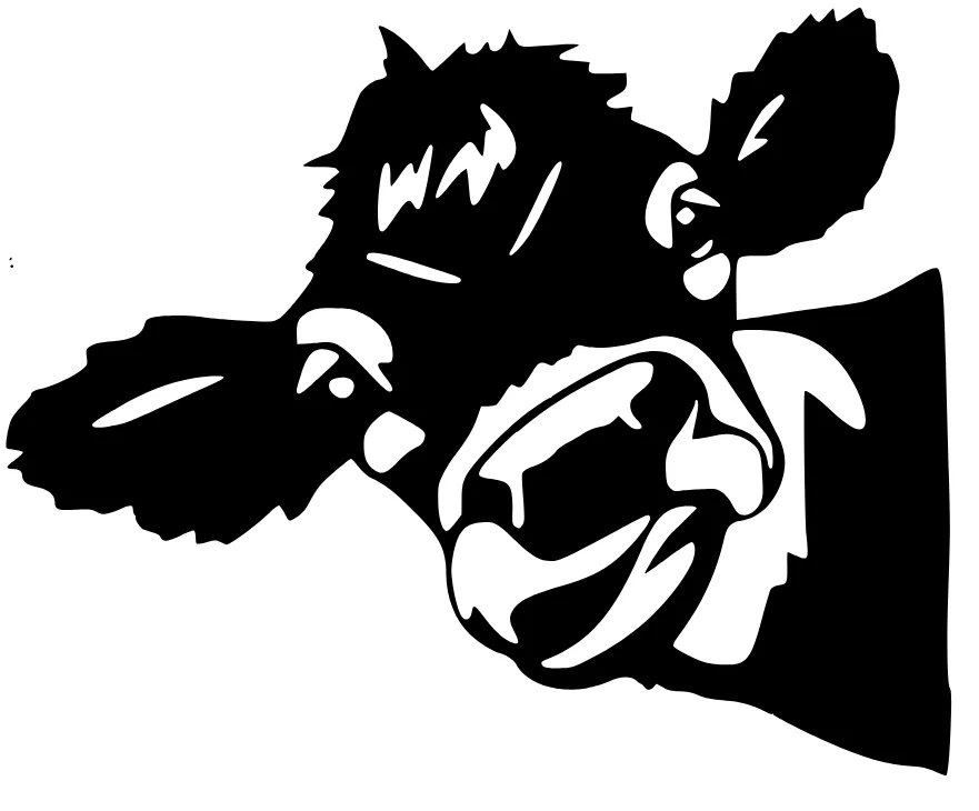 Trang trí tường với hình ảnh con bò nghệ thuật