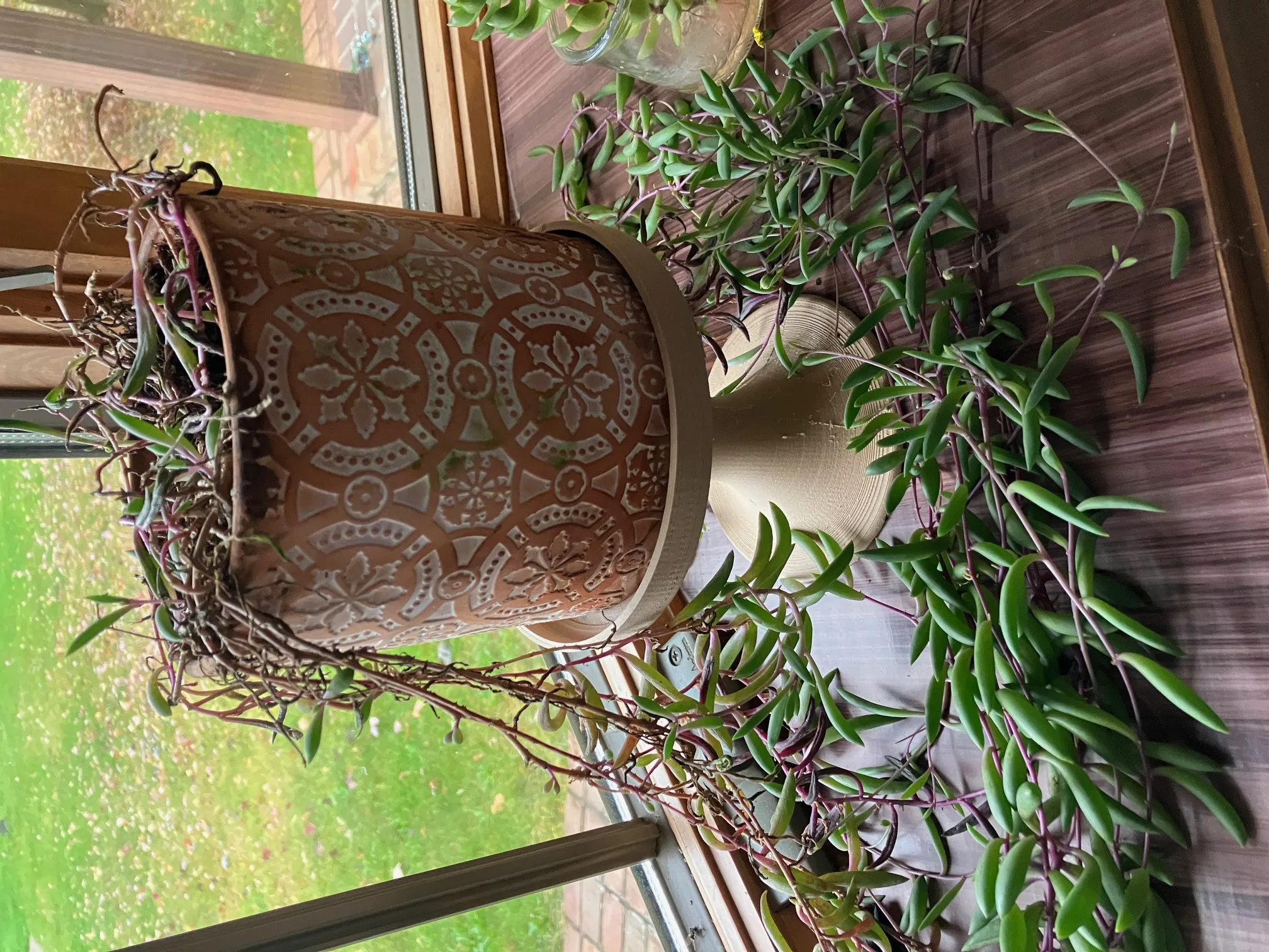 Giá đỡ cây tròn cho chậu cây xương rồng