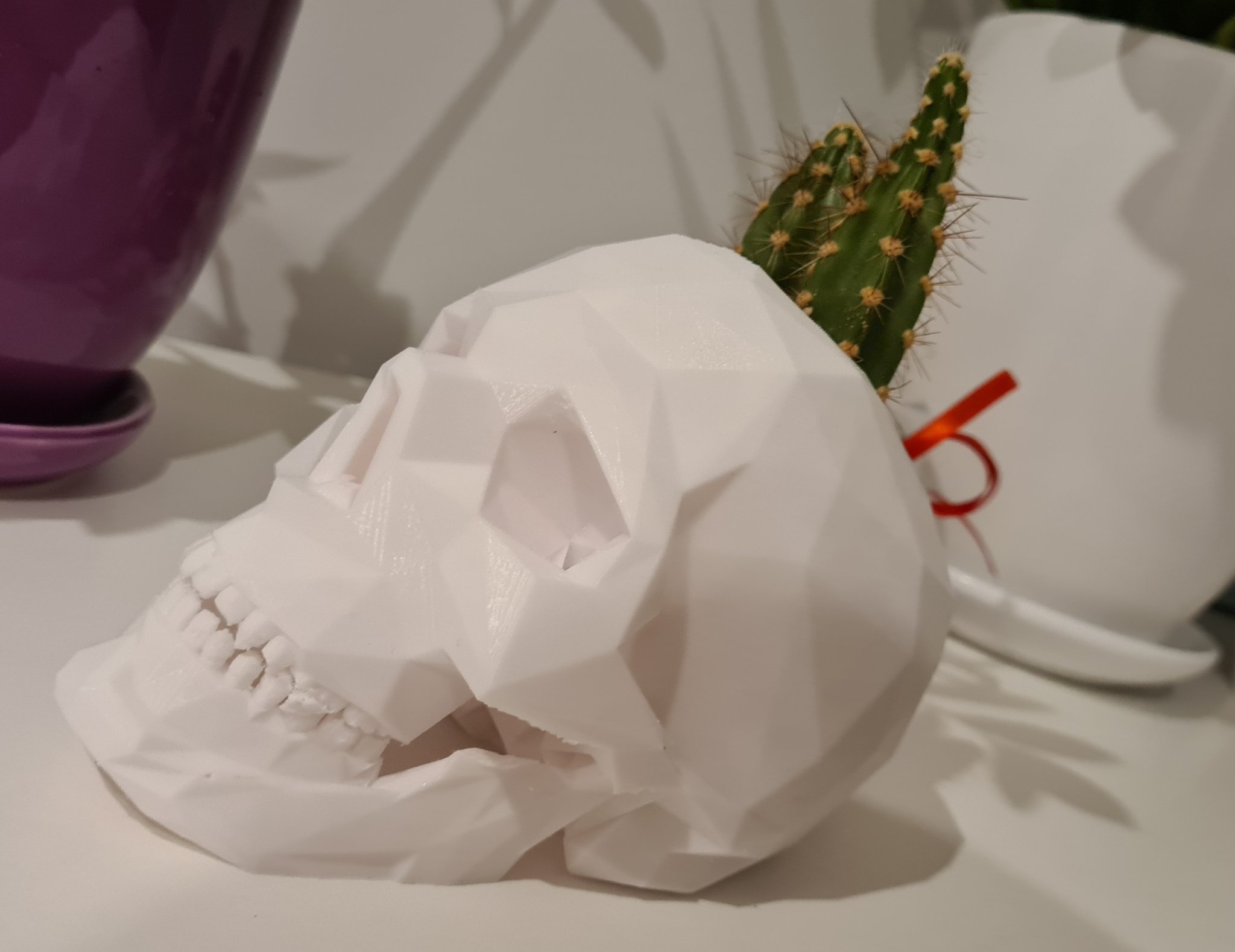 Chậu cây succulent hình đầu lâu