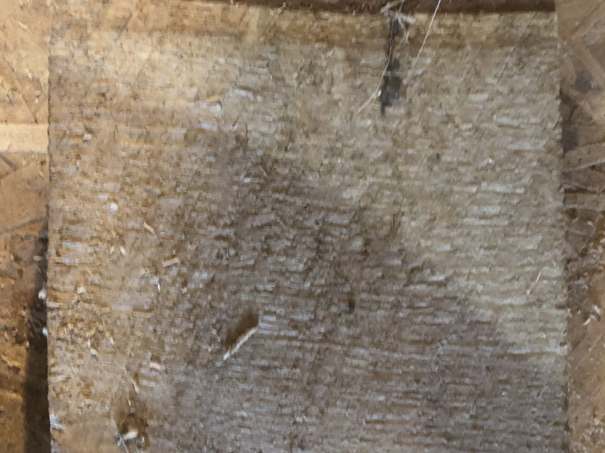 Bánh mài phẳng và lồi 2" và 3" cho máy cắt Worx