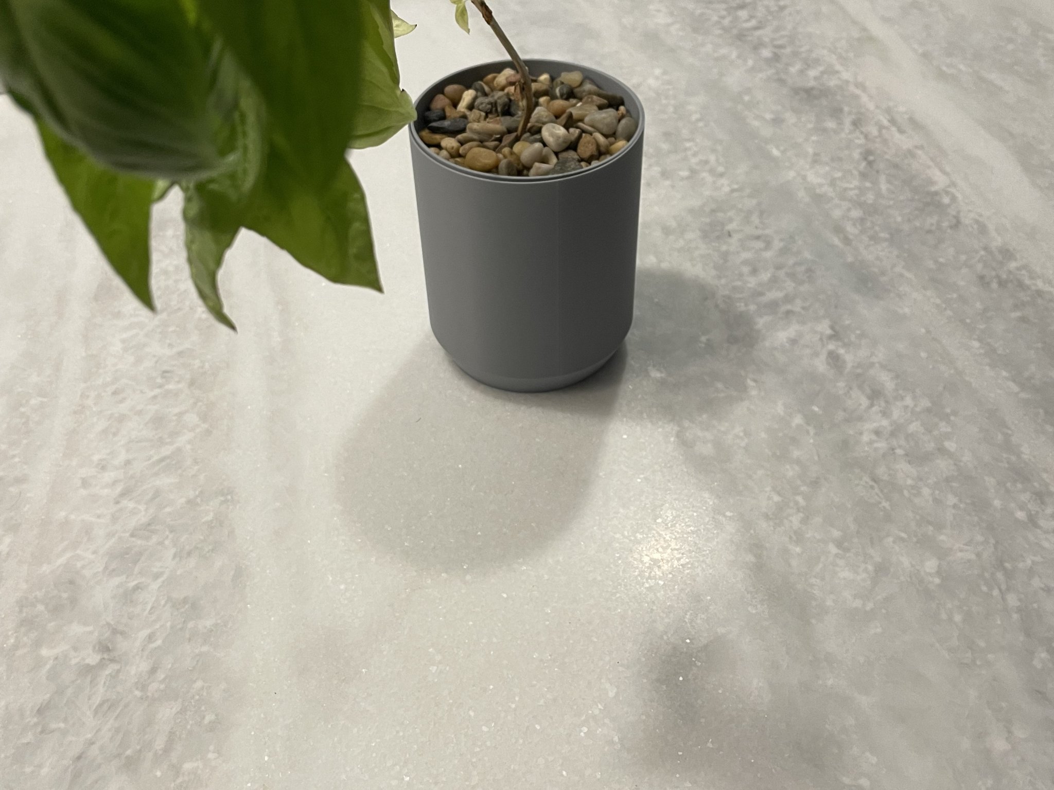 Chậu thủy canh mini trồng húng quế tự thiết kế