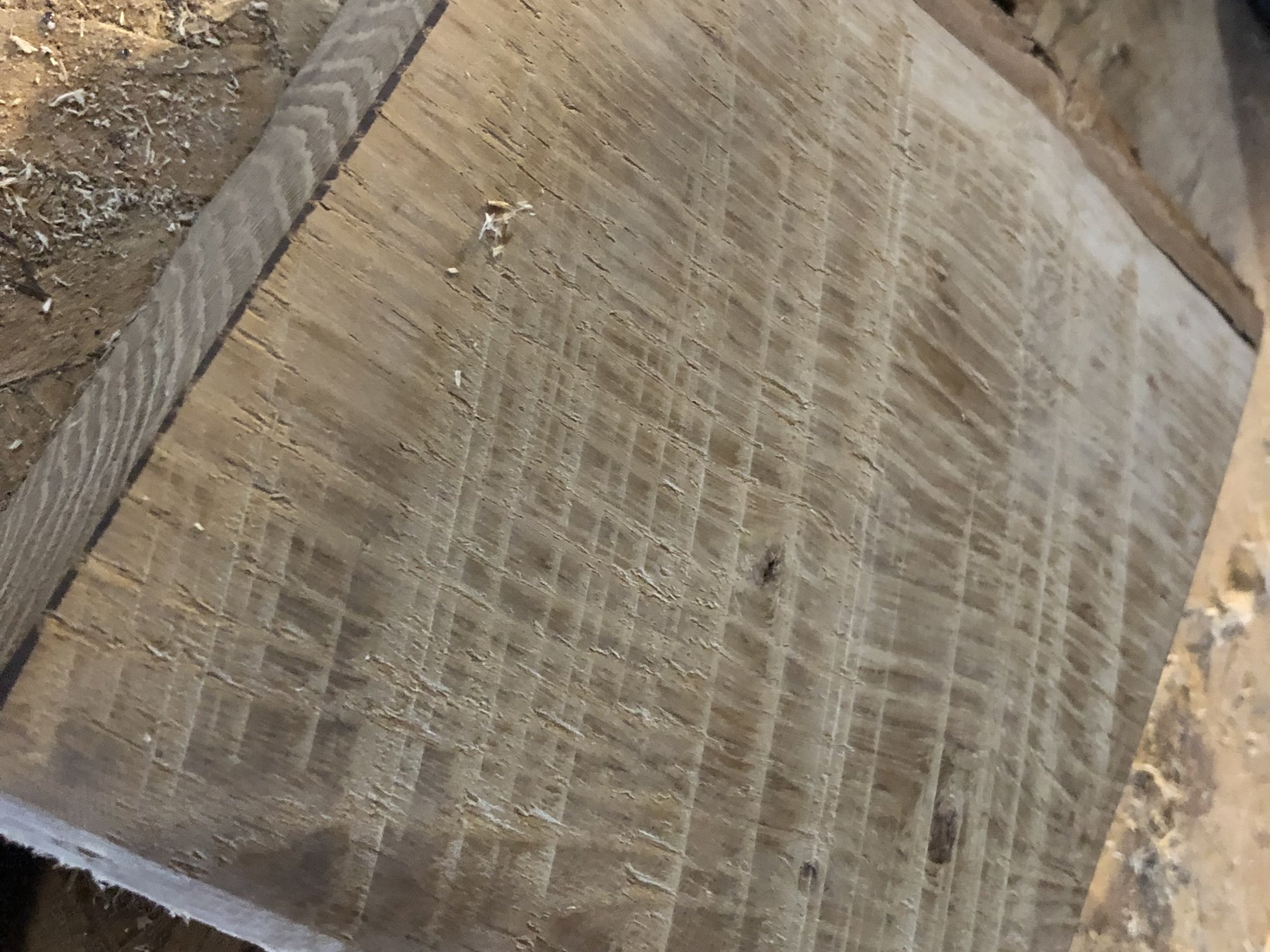 Bánh mài phẳng và lồi 2" và 3" cho máy cắt Worx