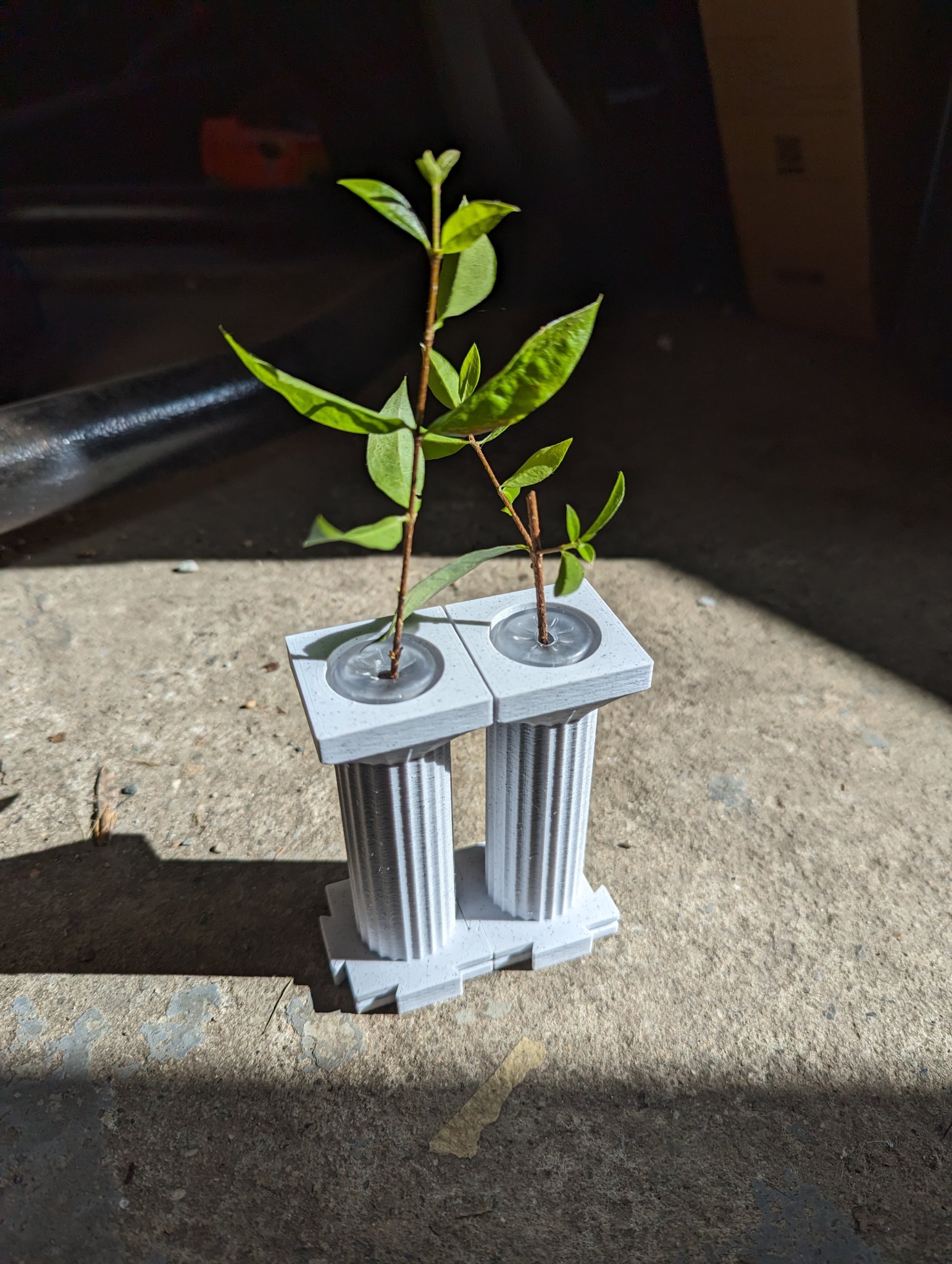 Giá đỡ cắt cây phong cách cột La Mã